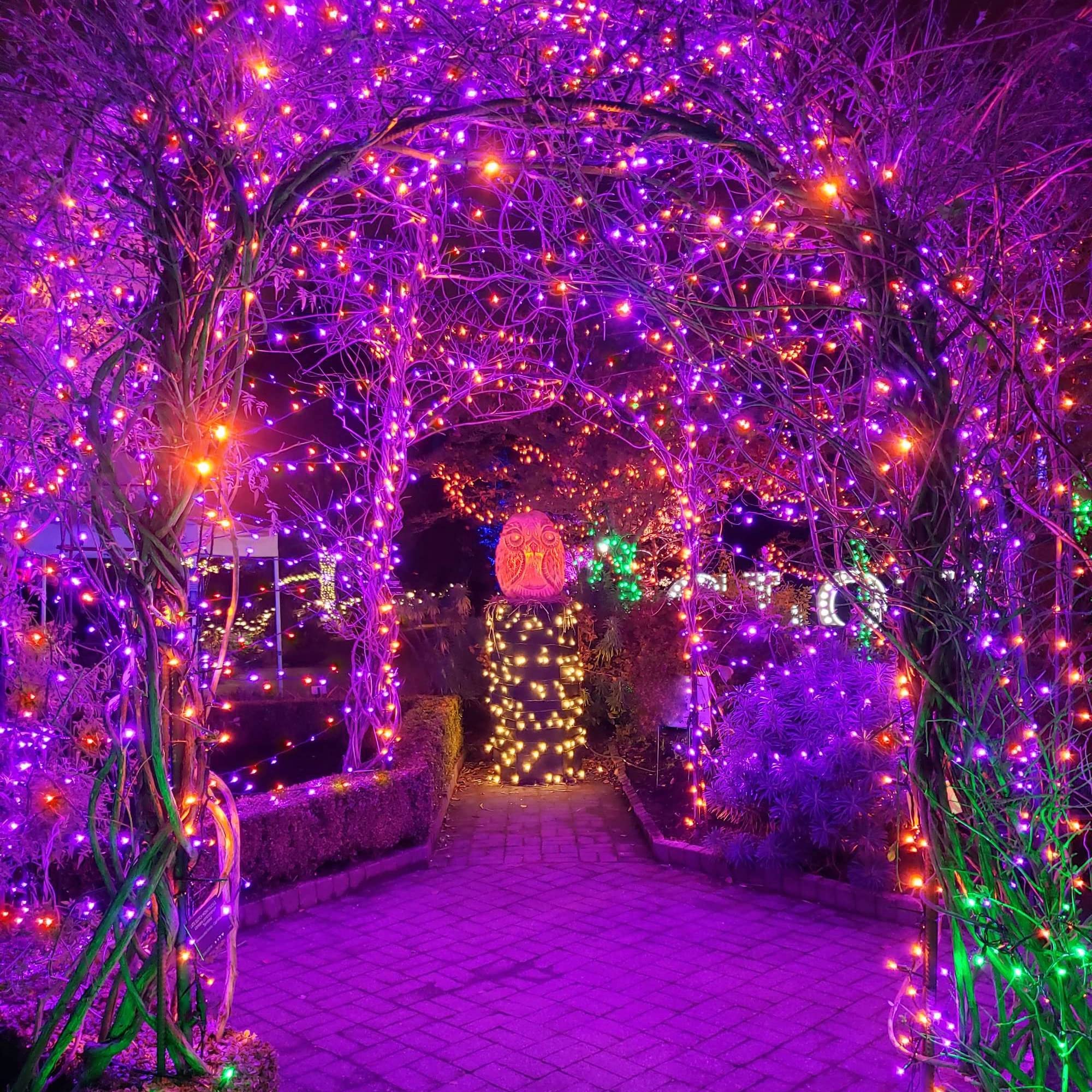 weillsnow 500 LED Halloween String Lights, 164FT, 8 Modes, Waterproof, Purple & Orange, Model HB-500COI