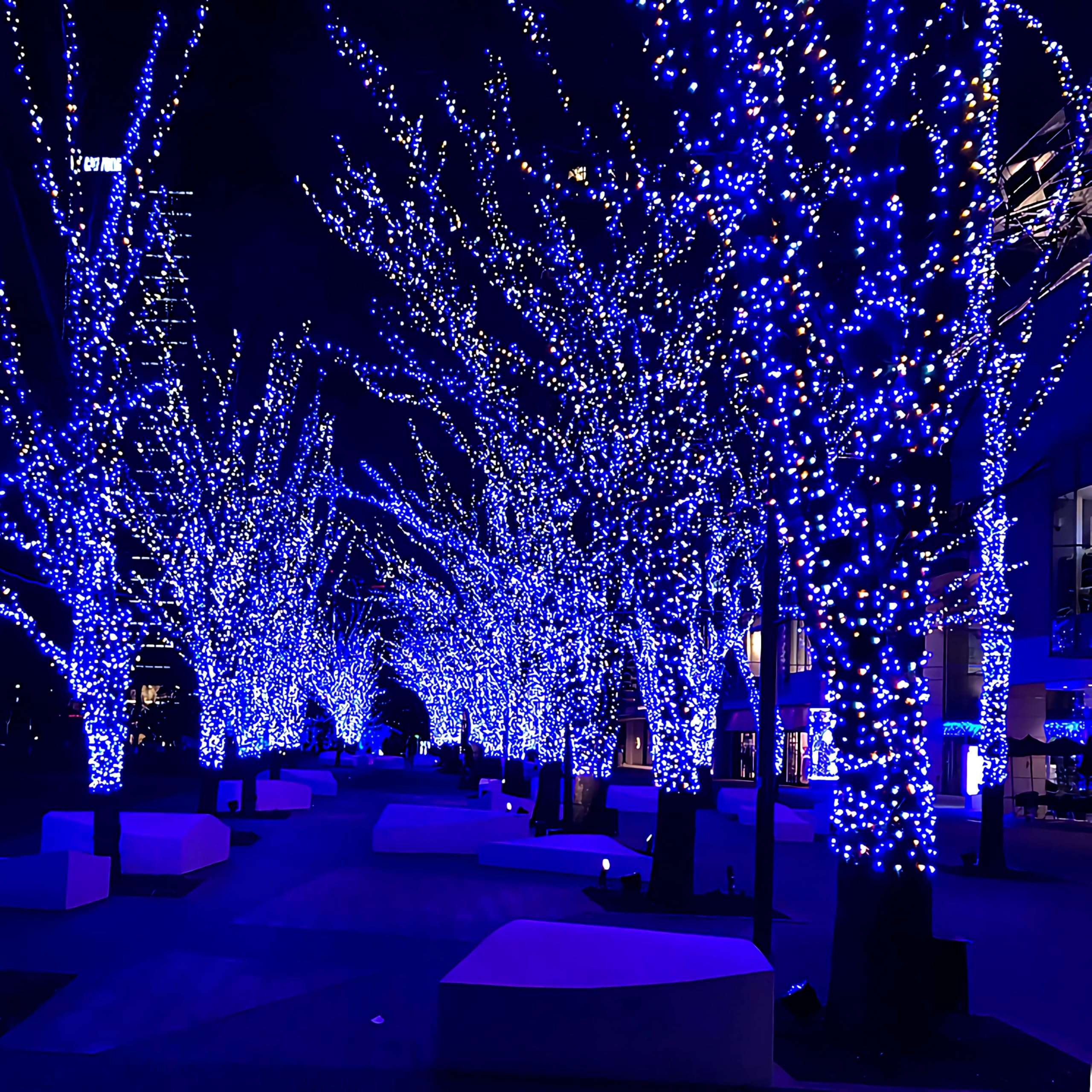 FairyGlim Extra Long 264FT 800 LED Christmas Lights, Green Wire, 8 Modes, Indoor/Outdoor, Blue, Model CX-36V-5000LHWW