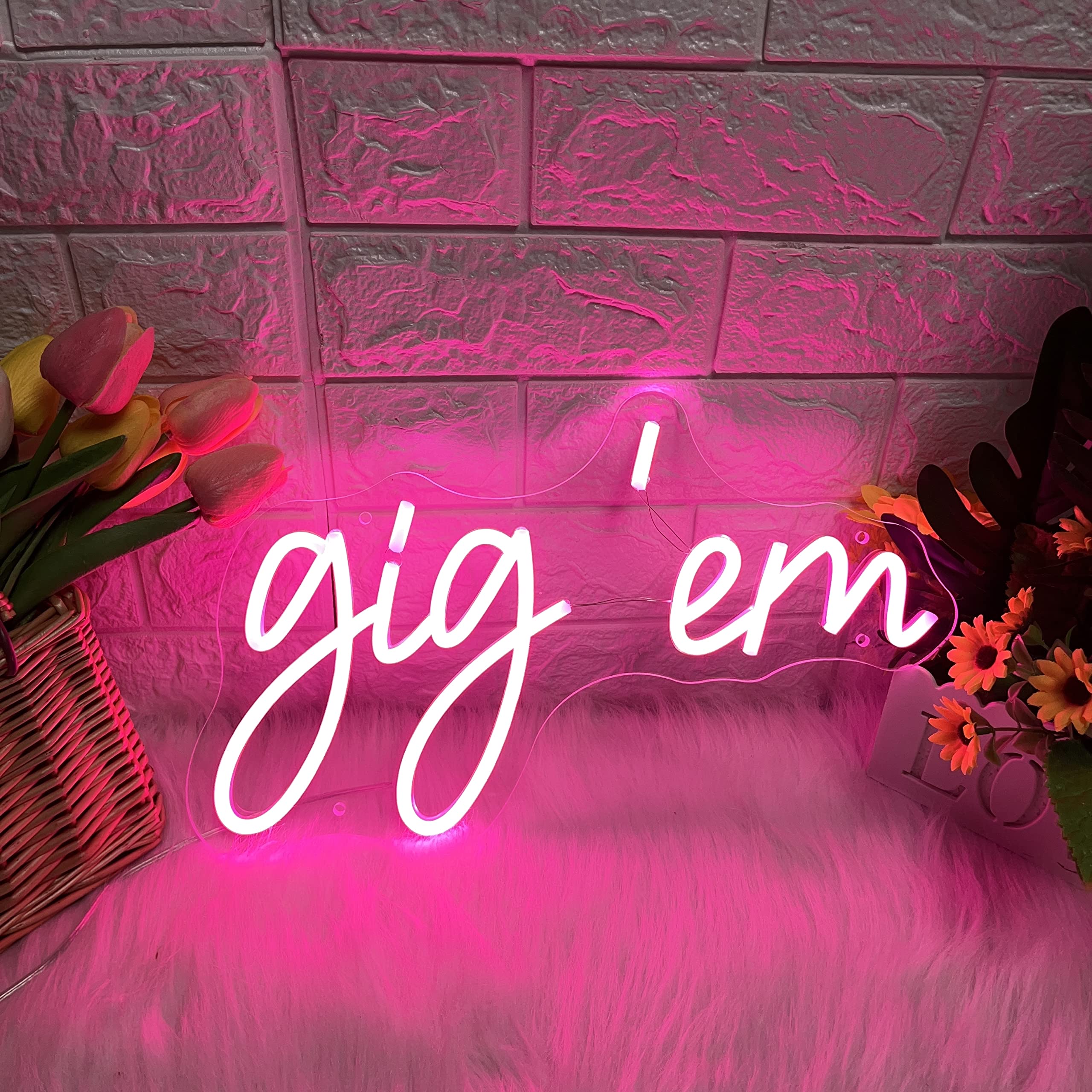Gigem Aggies Neon Sign Pink Led Neon Light Signs For Wall Decor Usb Operated Concert Girls Dorm Room Decoration Beauty Texas A&M University Wall Art Birthday Gifts For Women 16X9.69