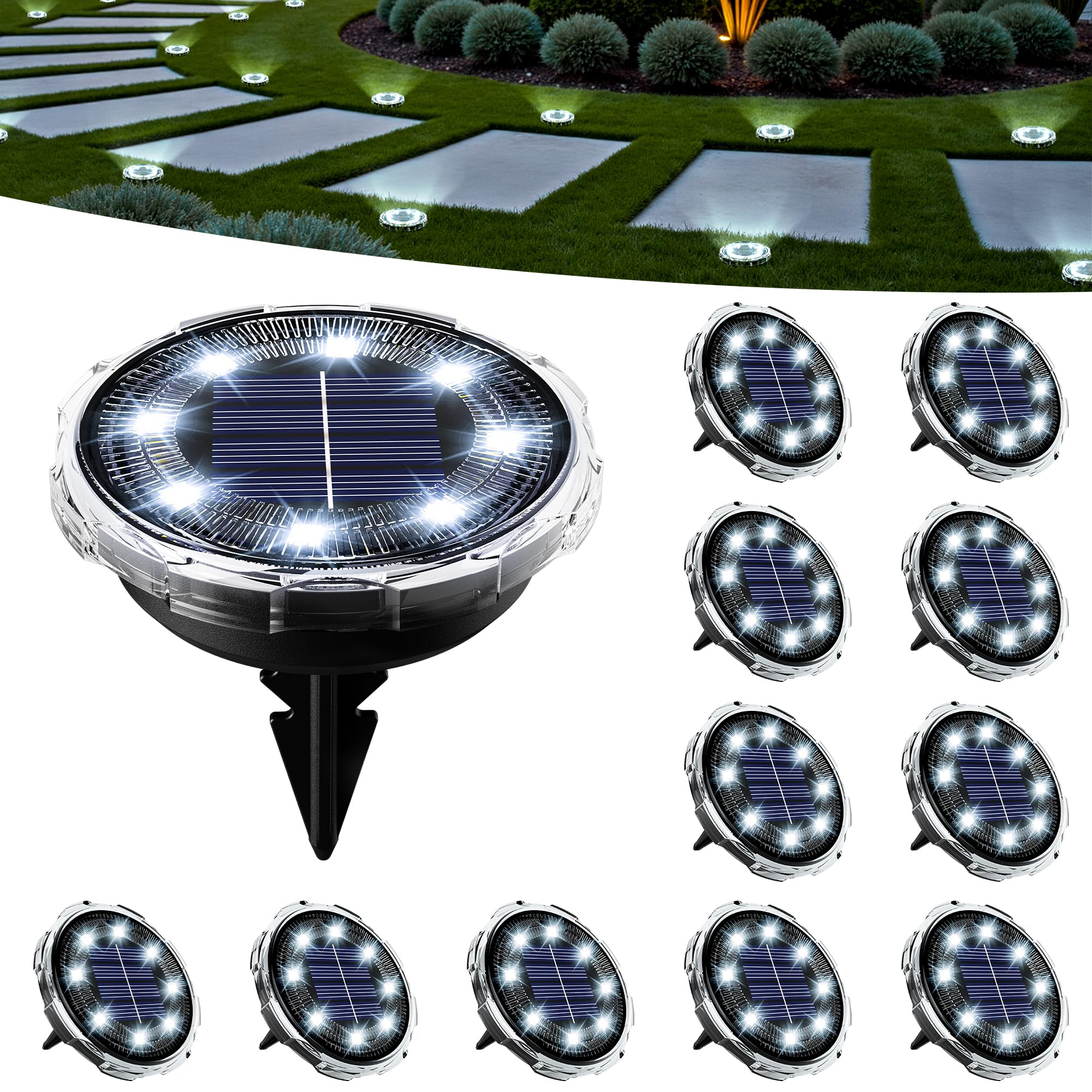 SOLPEX Solar Ground Lights 12 Pack, Solar Pathway Lights Outdoor Waterproof, Landscape Lighting for Garden, Walkway, Driveway, Y