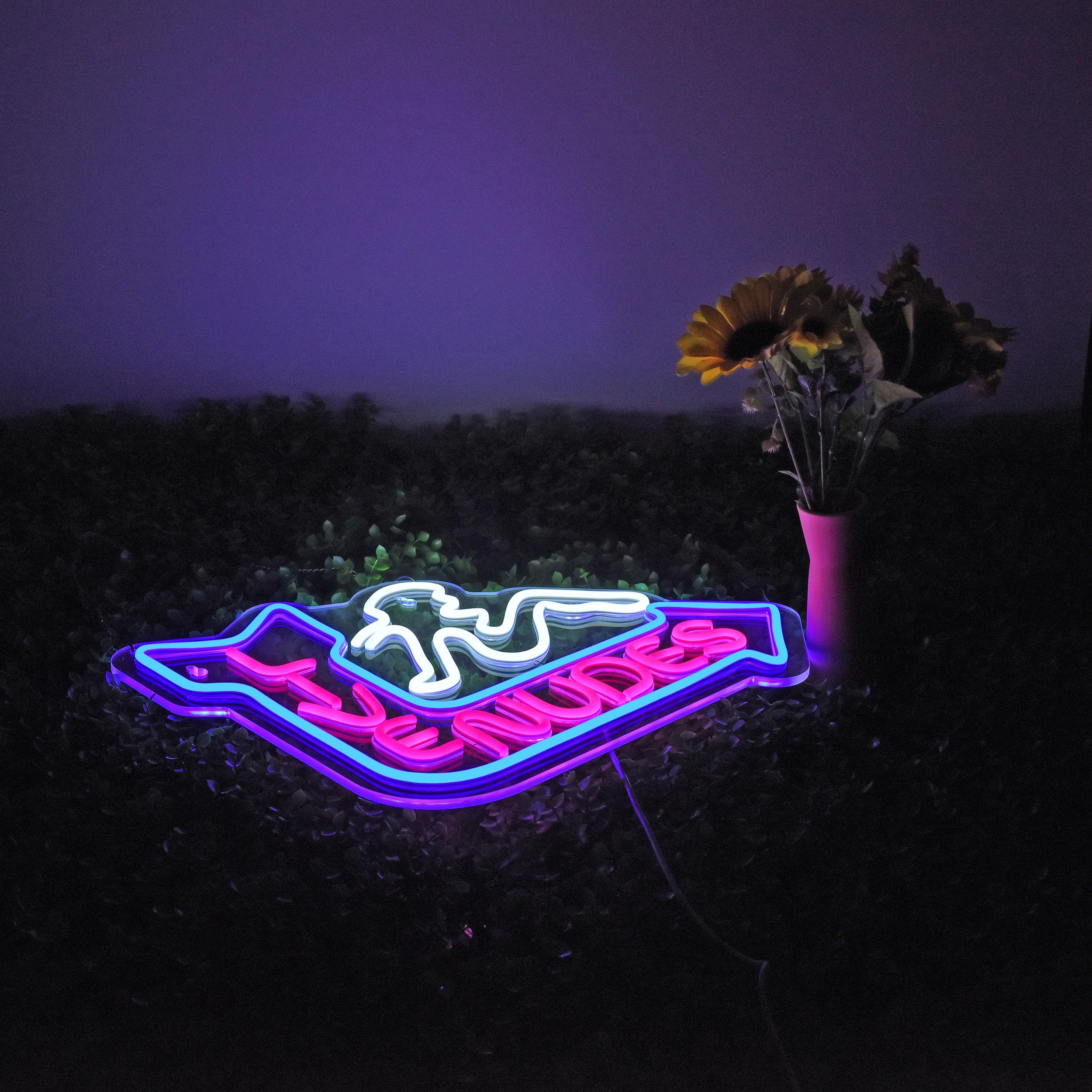 Roouneon Neon Sign For Wall Décor Led Live Batchroom Changing Room Restroom Neon Lights Girls Art Signs With Dimmer For Man Cave Beer Bar Home Bedroom Hotel Pub Room Decor