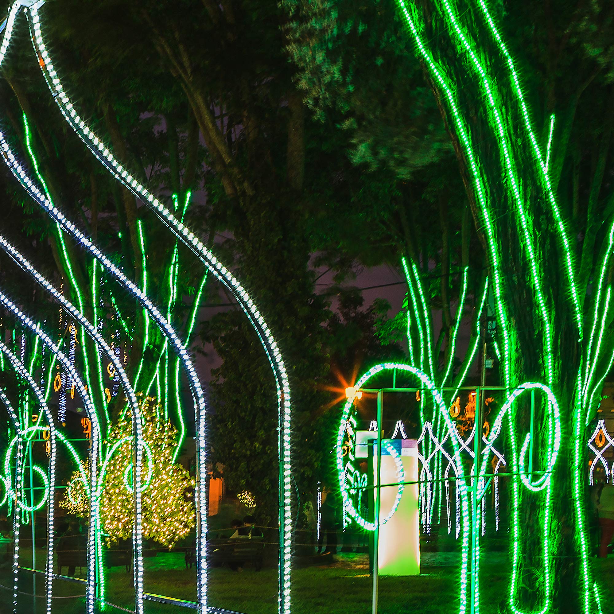 Wintergreen Lighting 150Ft 1800 Led Heavy Duty Green Rope Light Kit, Led Flexible Light Rope String Light Outdoor – Led Light Rope Bedroom Led Light Rope, 120V, ½ Inch, 2-Wire