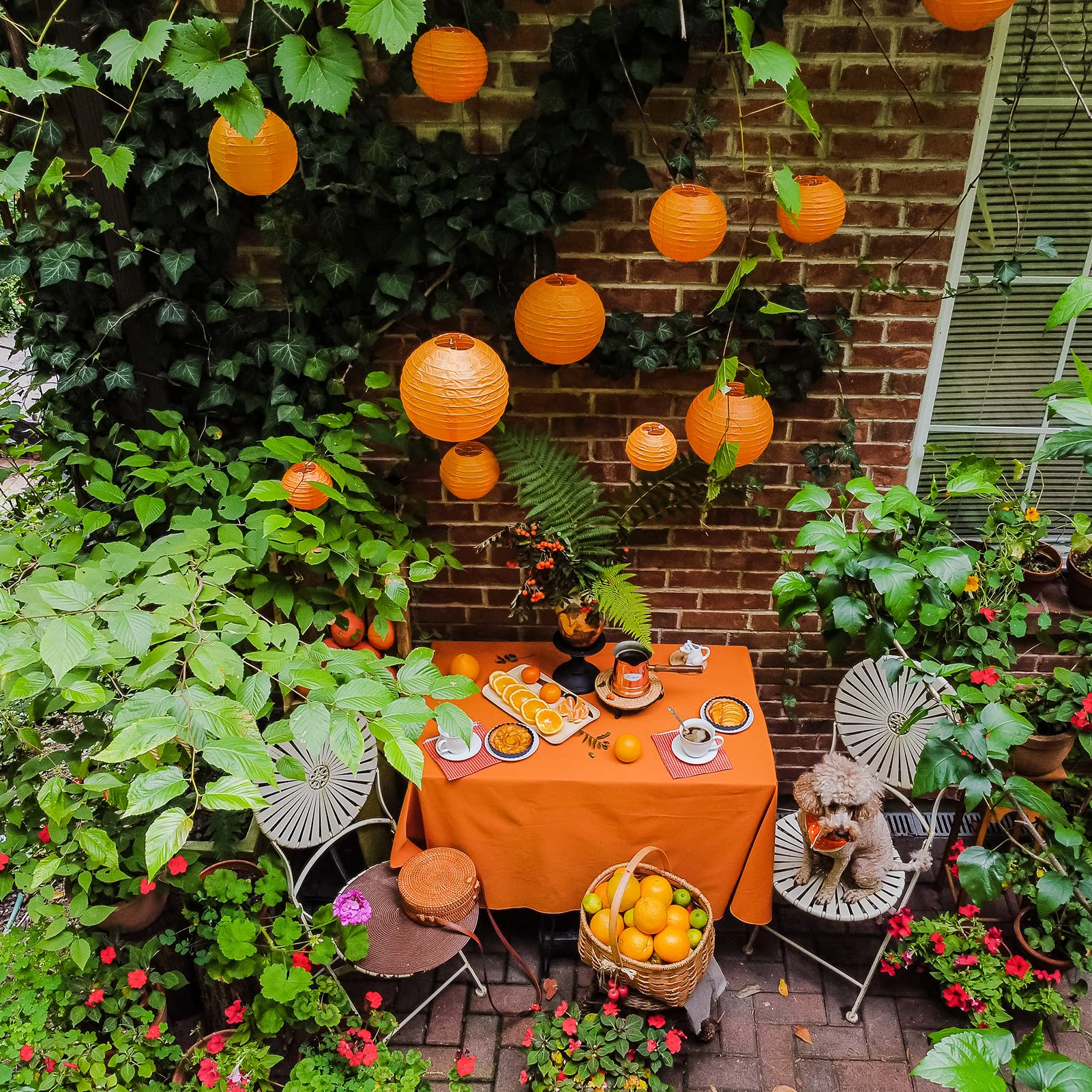 Orange Paper Lanterns - 25 Piece Set - Party Decorations For Birthdays, Weddings And Special Occasions By Avoseta