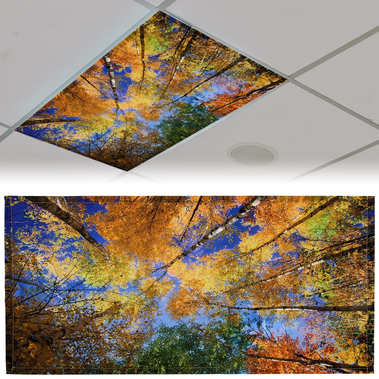 Patelai Fluorescent Light Cover Magnetic Shade 4 x 2 Feet for Classroom, Home, Office - Autumn, Model PT-Patelai-3144