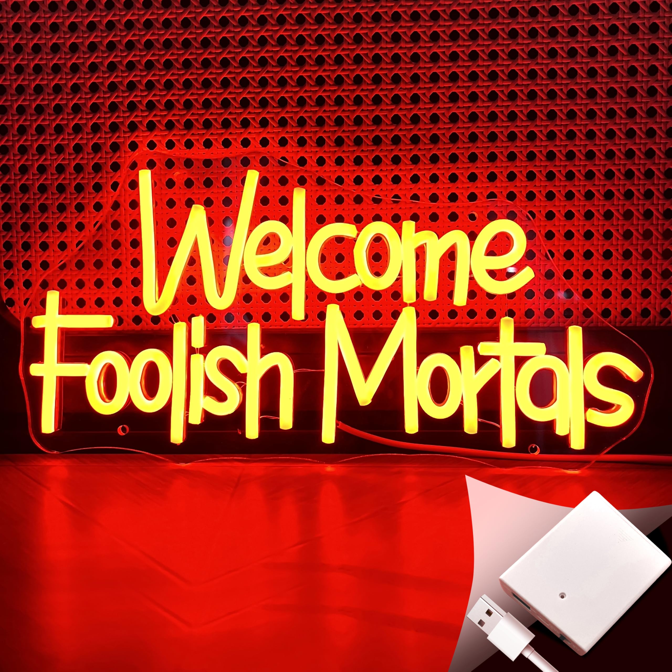 SHIDASIGN Neon Sign Battery Operated for Halloween Decor, Acrylic, Red, Spooky Gothic Design