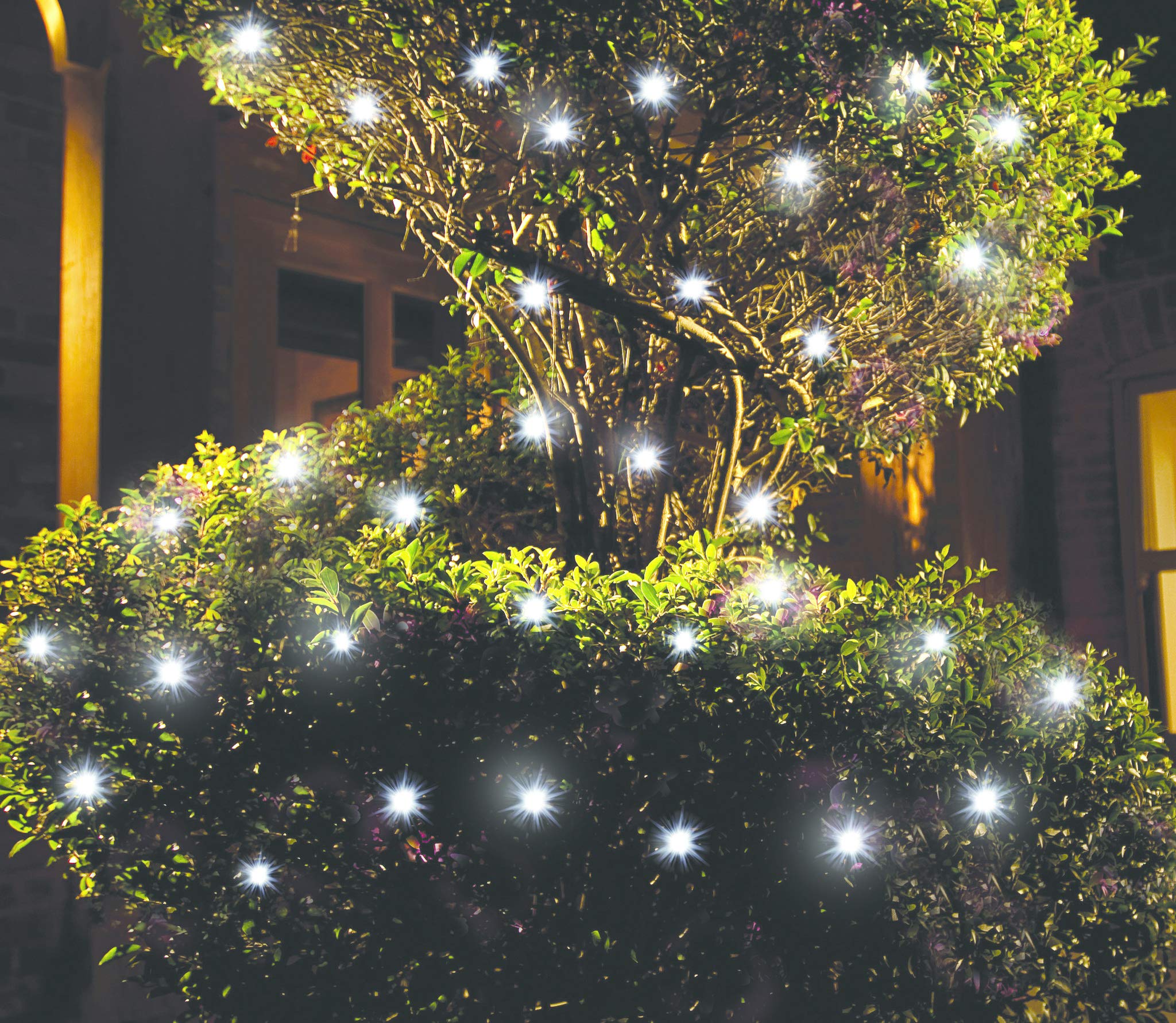 Cole & Bright 6741-100Count Solar Led String Lights
