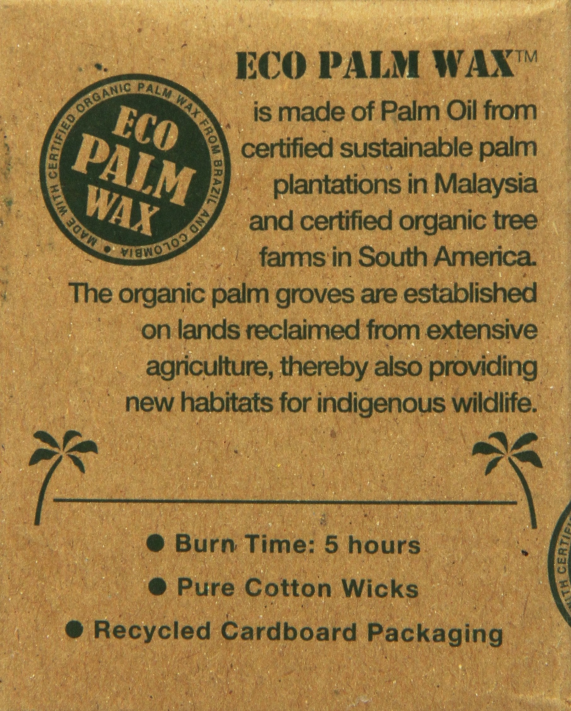 Aloha Bay Palm Wax Tea Lights with Aluminum Holder, 12 Count, Model 486, Cream Color