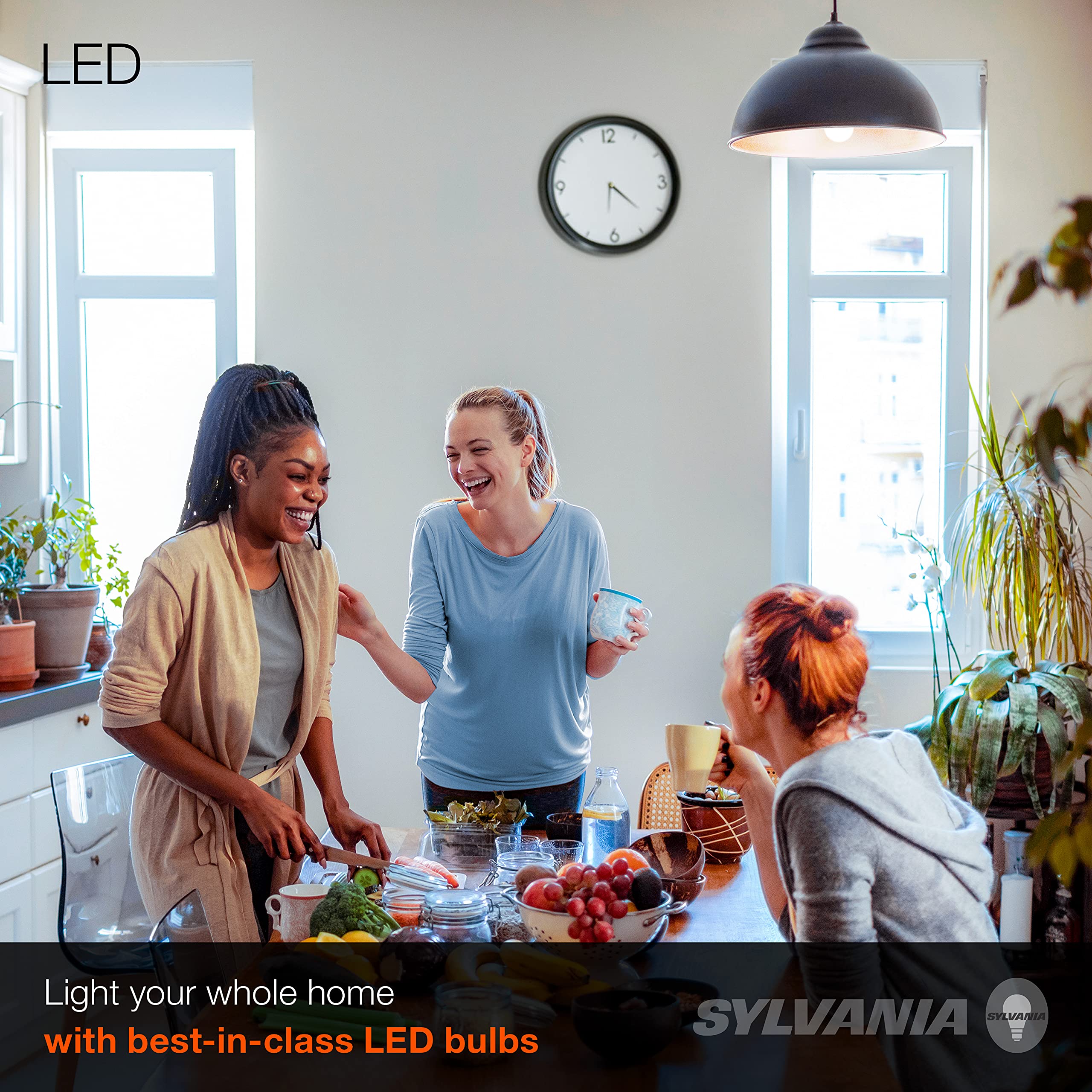 Sylvania Led Light Bulb, 40W Equivalent A19, Efficient 6W, Medium Base, Frosted Finish, 450 Lumens, Daylight - 4 Pack (74084)