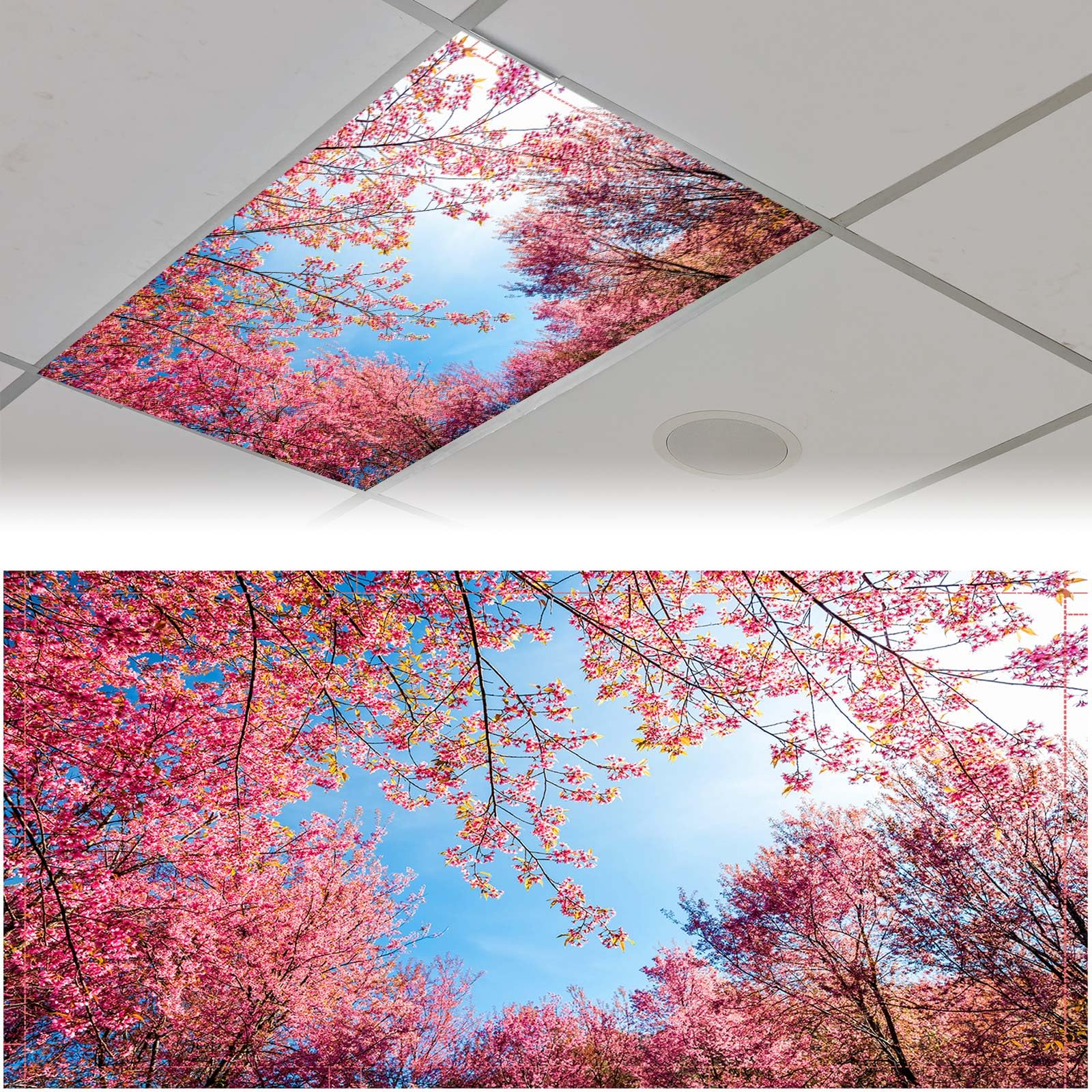 Patelai Fluorescent Light Cover - 4x2 Feet, Magnetic Filters, Spring Forest Color, Model PT-Patelai-56765 for School & Office