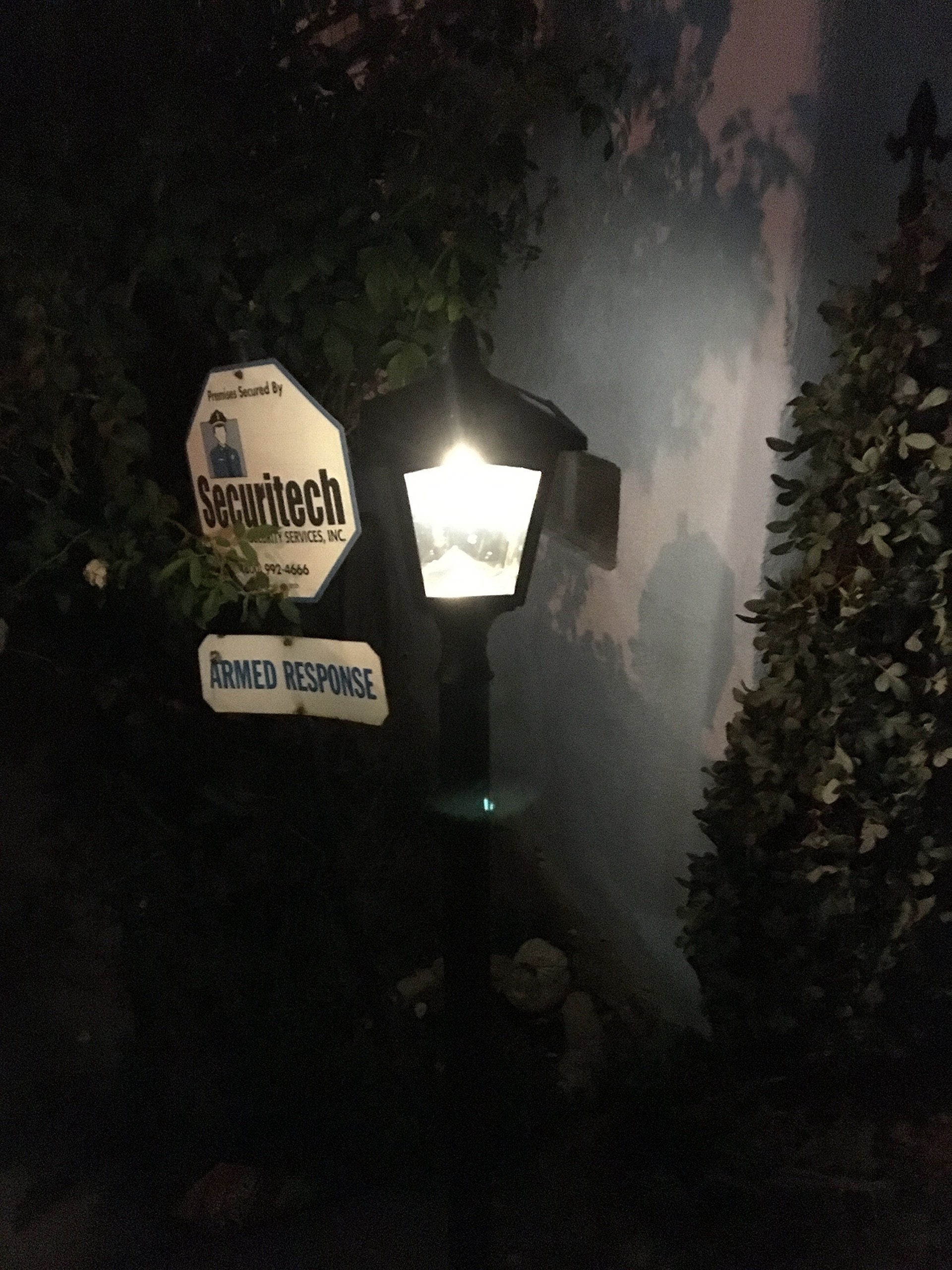 42 Inches Mini Street Post Outdoor Garden Solar Lamp Post Light Lawn - Adjustable (2 Pack)