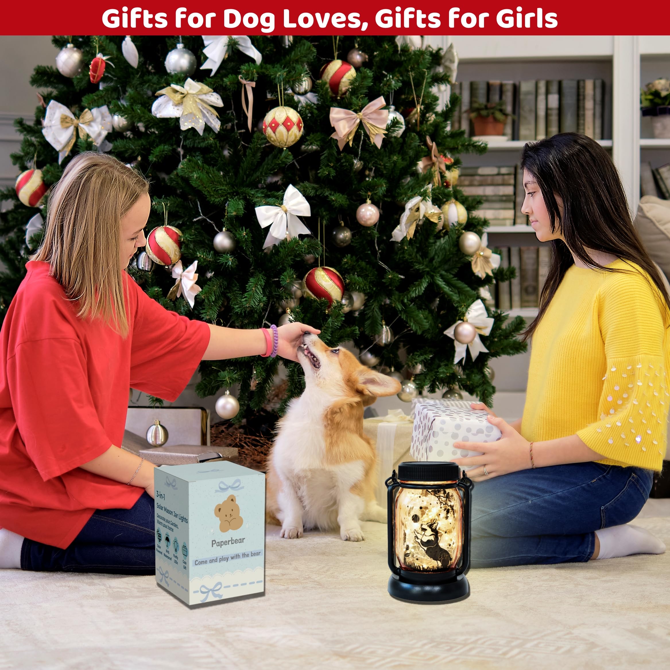 Dog Butterfly Solar Lanterns, Outdoor Solar Lights, Border Collie Gifts, Corgi Gifts, Garden Decor, Patio Decor, Garden Gifts, G