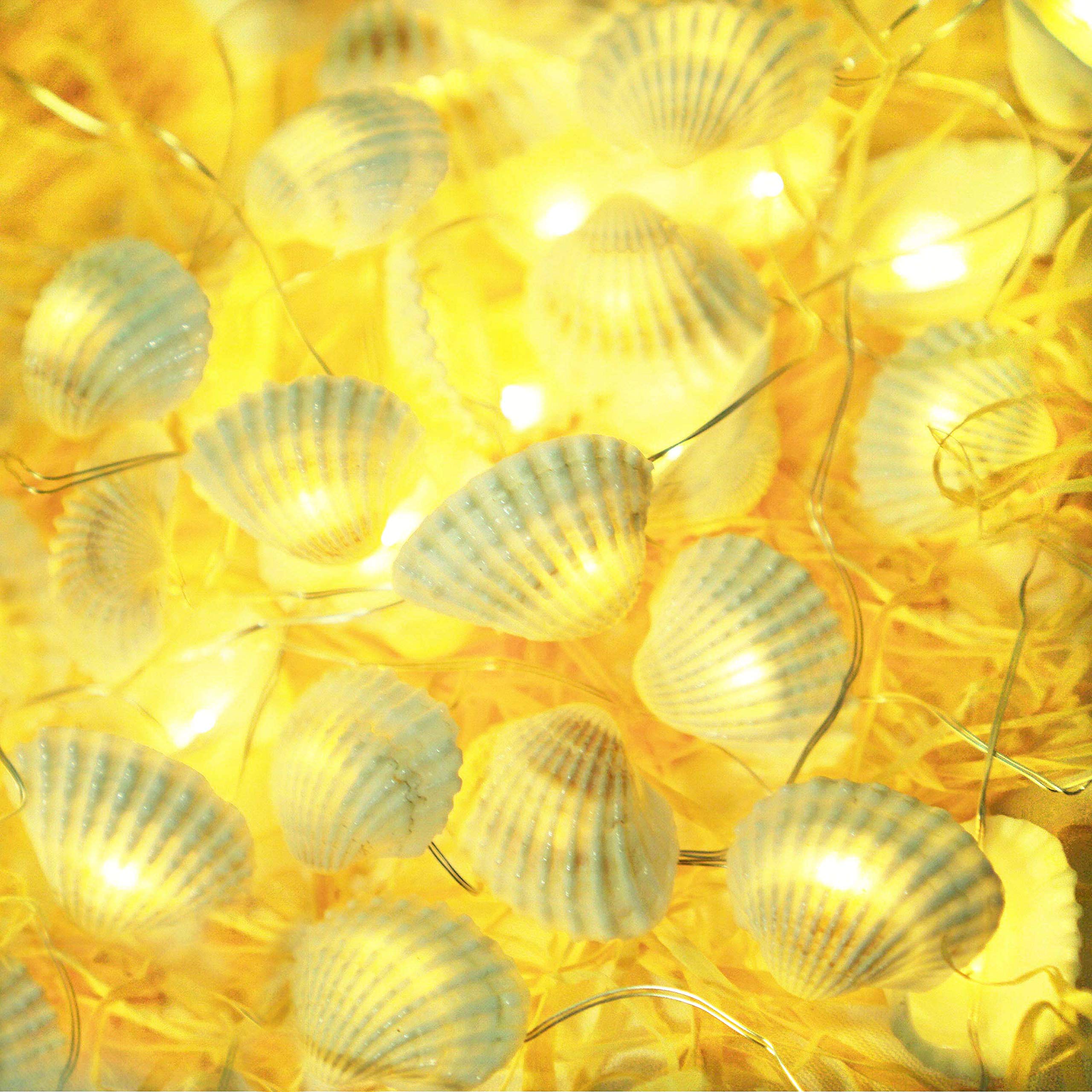 Cynzia 40LED Natural Seashells String Lights, 13.85ft Waterproof Fairy Lights with Remote Control, White, Model C-66
