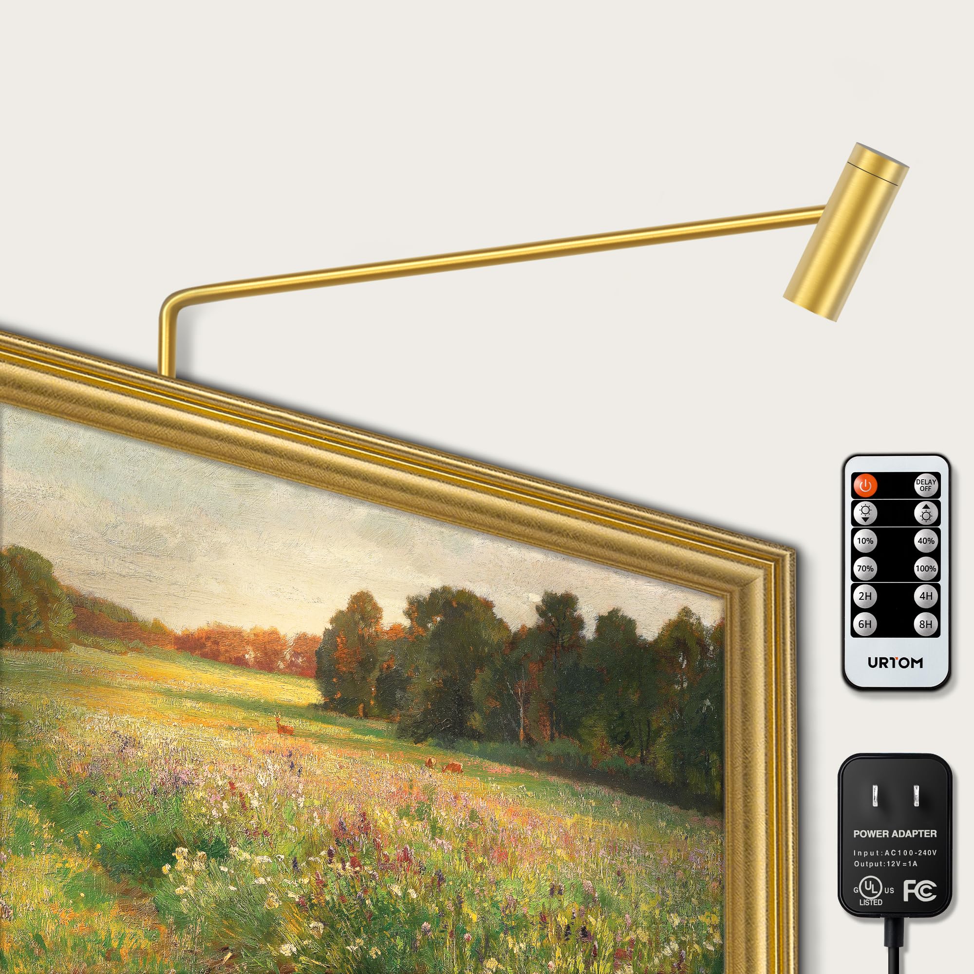 URTOM Brass Picture Light Plug in LED Picture Lights for Wall 3000K Warm White Picture Frame Light with Remote Control & Timer D