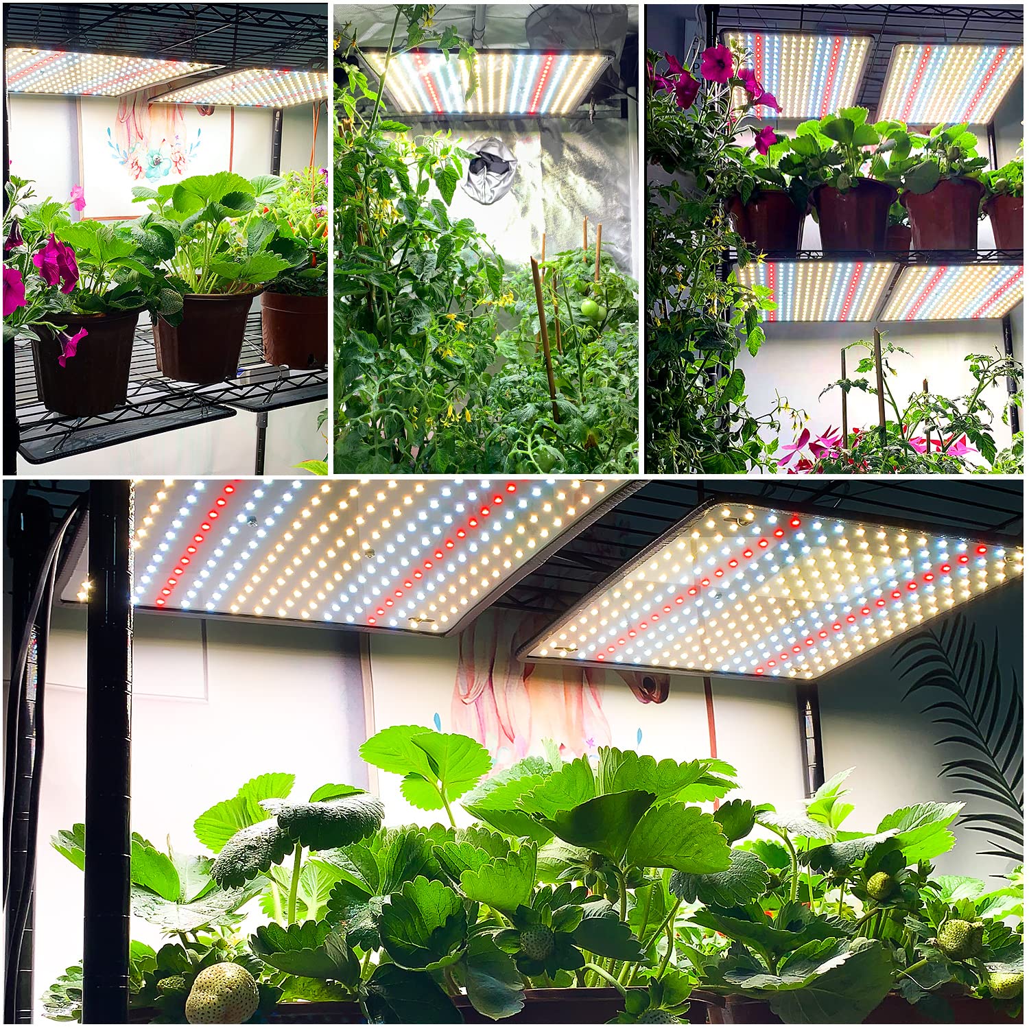 Bavihor Grow Light, (2-Pack) 200W Led Grow Lights For Indoor Plants Full Spectrum Plant Growing Lamps For Seedling Veg And Bloom