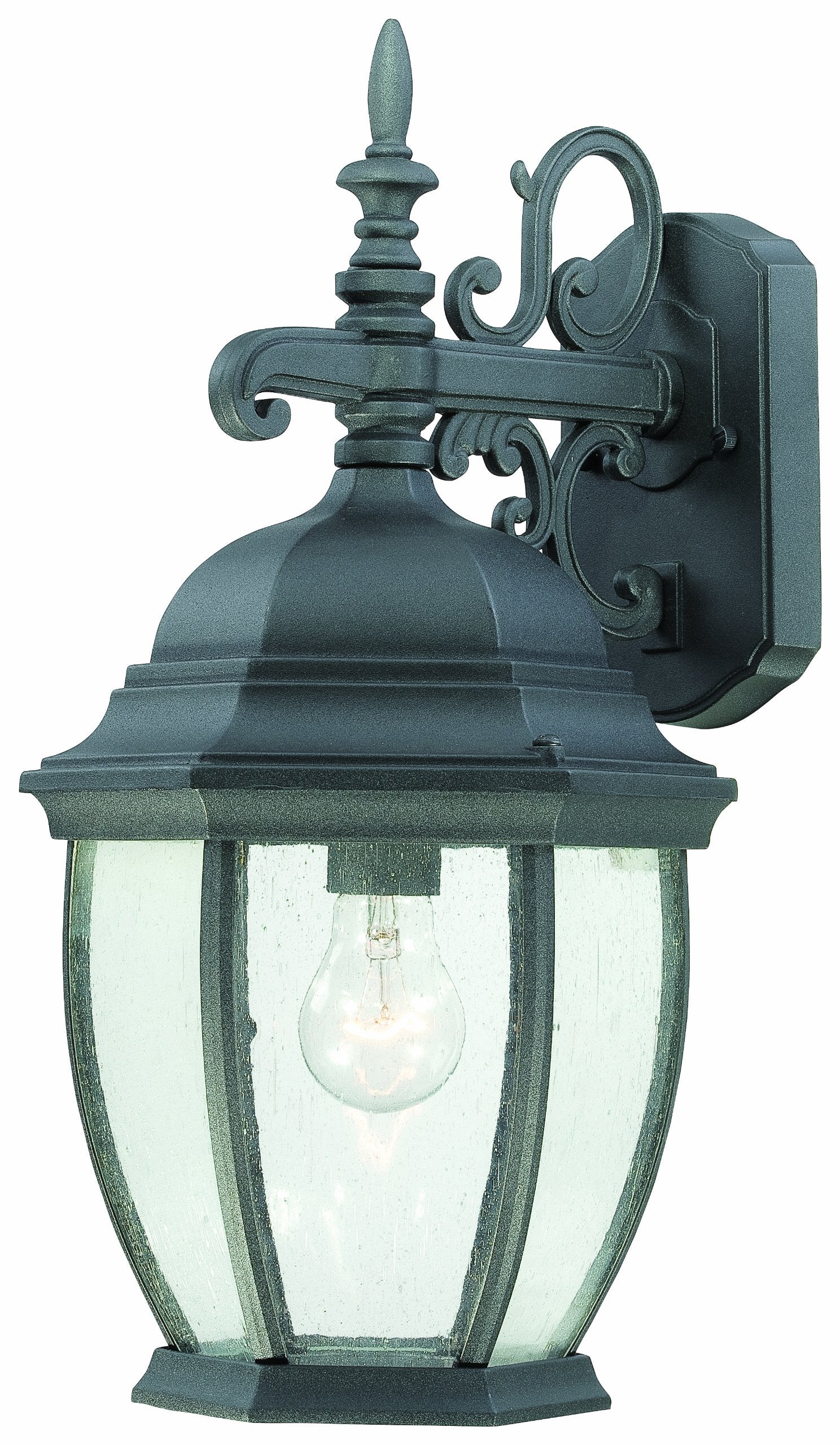 Thomas Lighting SL92297 Covington Outdoor Wall Lantern, Black