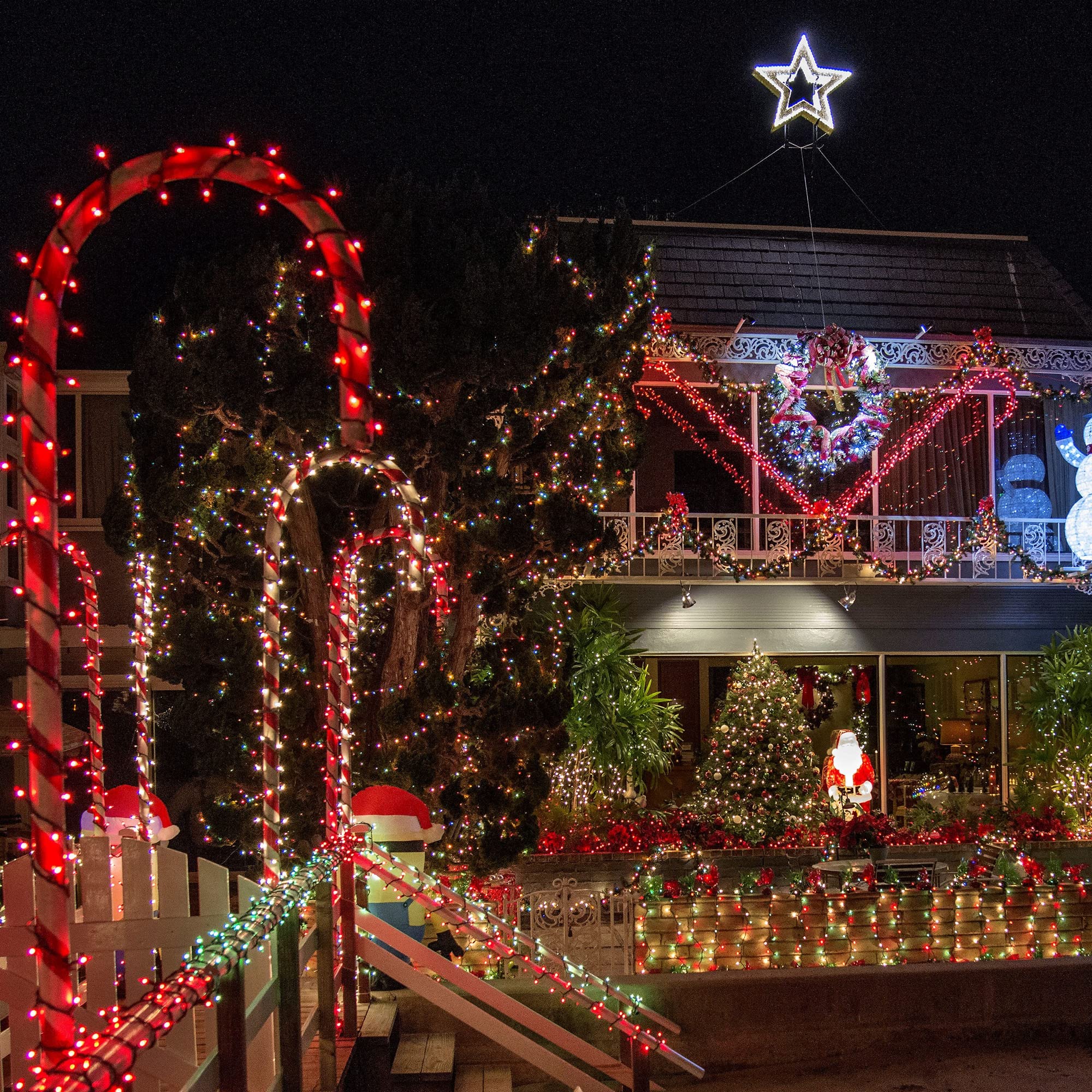 Kemooie 500 Led Valentine'S Day Lights, 164Ft 8 Twinkle Modes And Memory Function Plug In Waterproof Tree Lights For Garden Tree