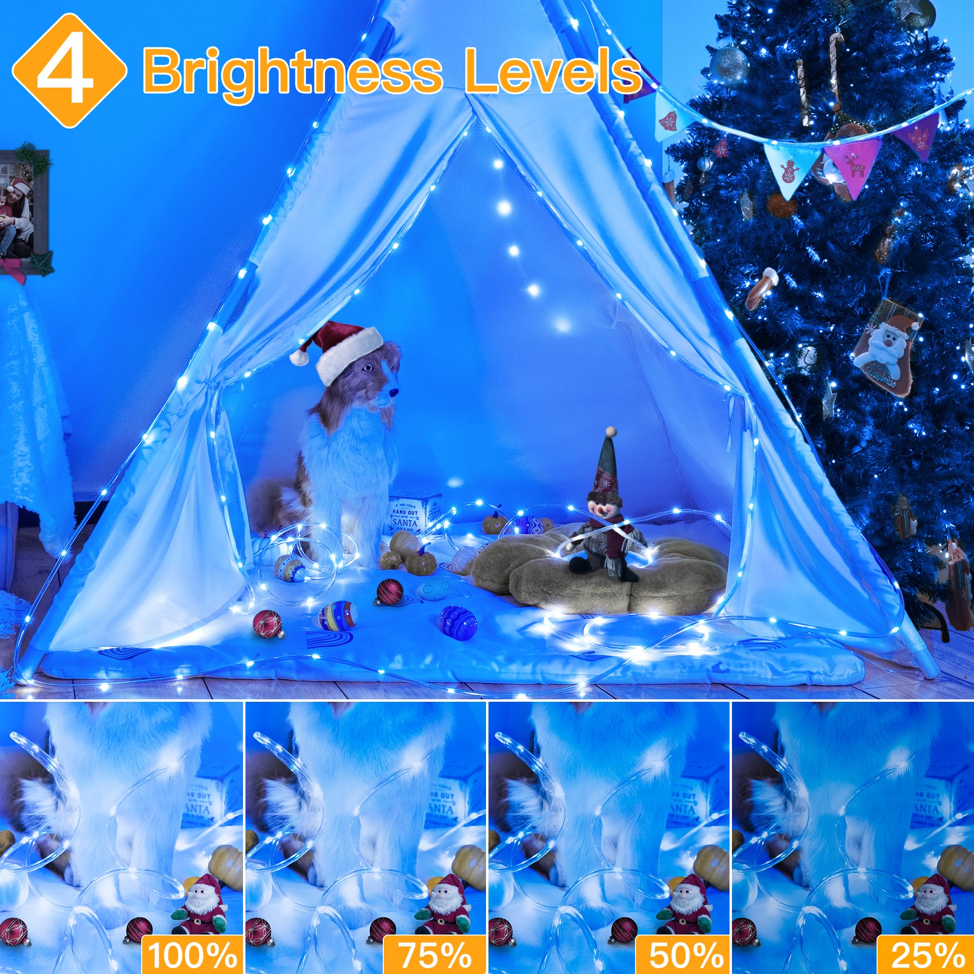 Ollny Rope Lights 33Ft 100 Led, Usb Multicolor String Lights With Remote, 8 Modes Ip68 Waterproof Timer Fairys Lights For Indoor Outdoor Bedroom House Party Christmas Decorations