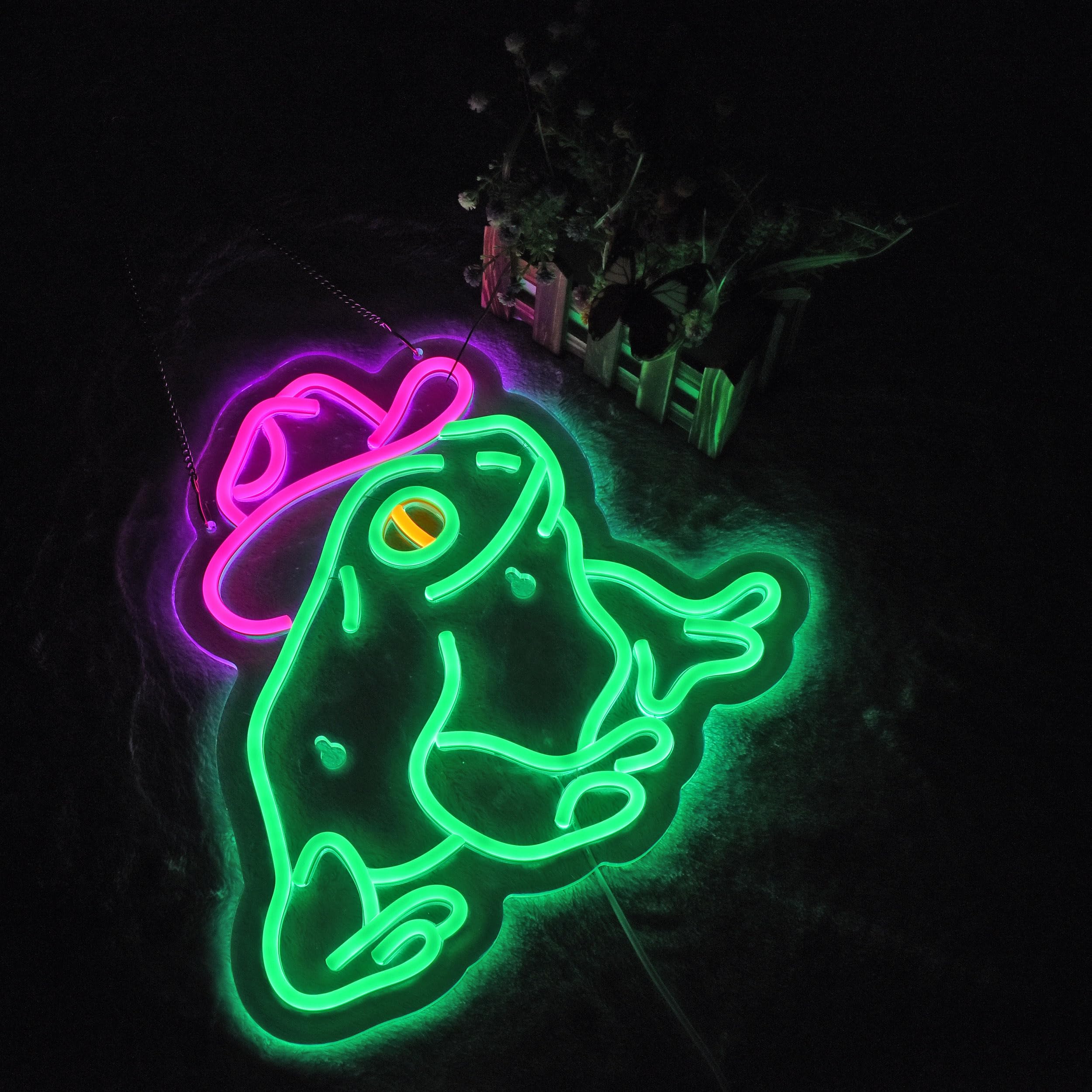 Haimococl Neon Sign Frog LED Light Wall Decor Dimmable USB Powered Green+Pink