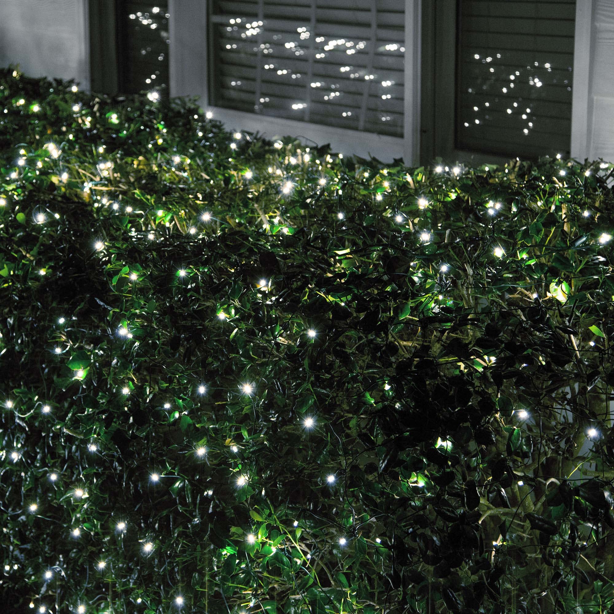Wintergreen Lighting 100 LED Cool White Net Lights - 4x6 ft, Acrylic, Green Wire, Christmas Outdoor Decor