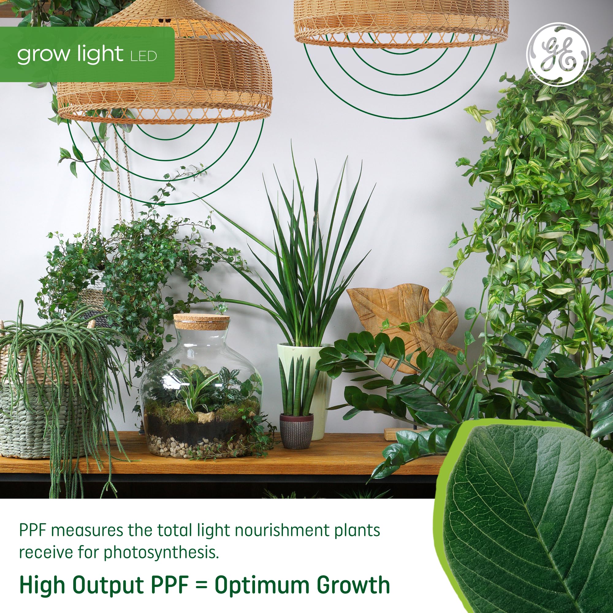 GE Lighting LED Grow Light Bulb, High Output PPF 15 µmol/s, A19, 2 Pack, for Flowers & Fruiting, Plastic