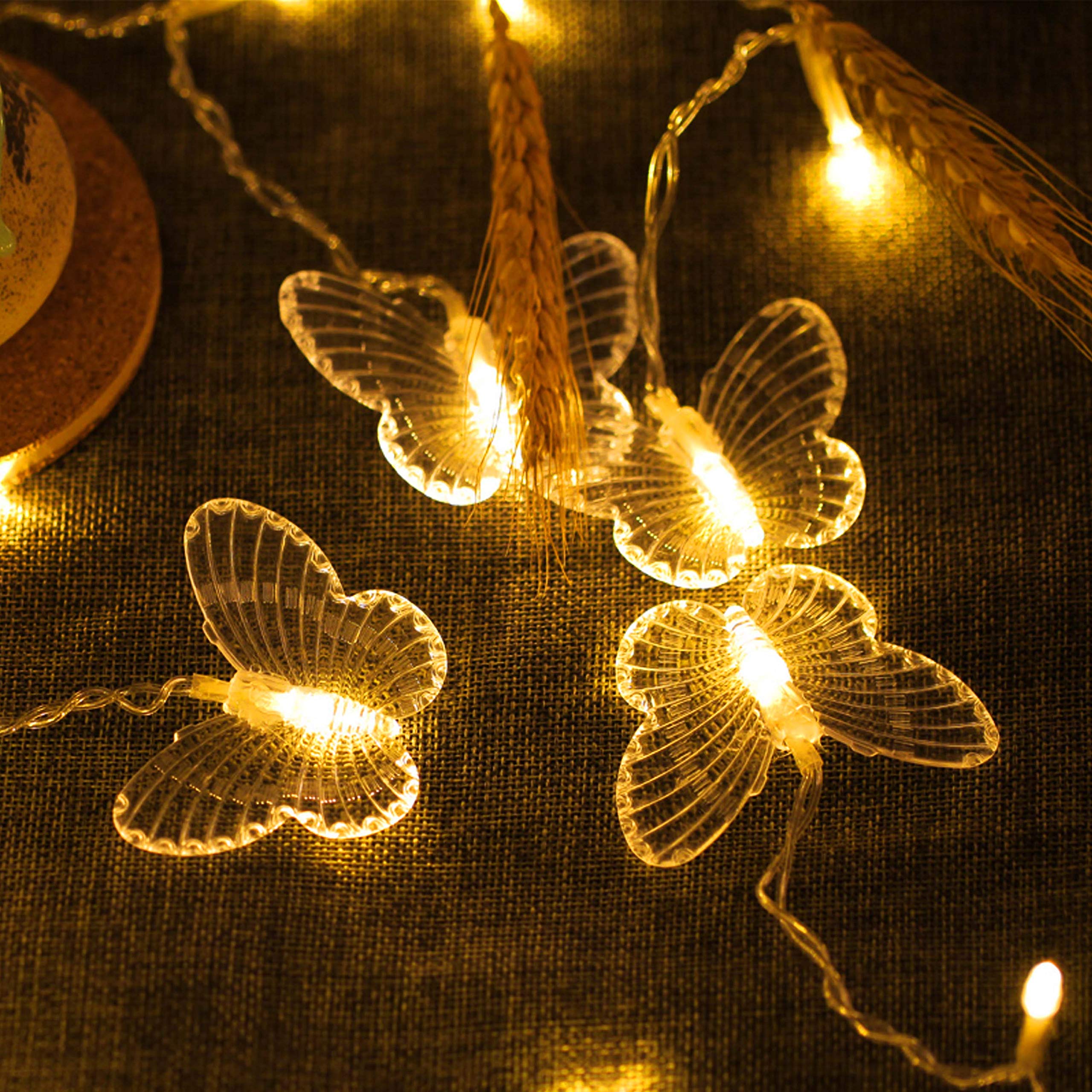 Decorman Butterfly Curtain Lights, 4.9ft 48 LED Warm White Fairy Lights, Model CLD-B-001 for Room, Party, Wedding, Christmas