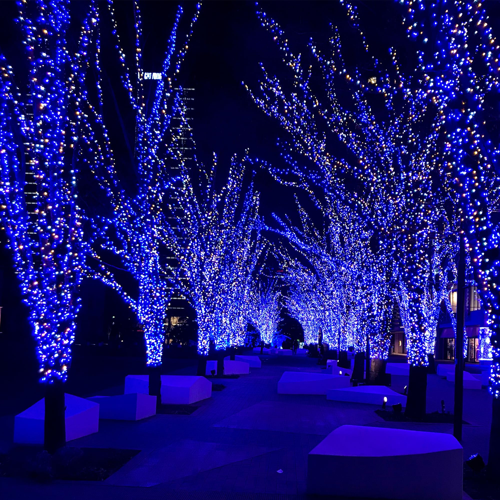 Selarlyt 200 LED Solar Fairy Lights, Upgraded Oversize Beads, 8 Modes, Blue & White