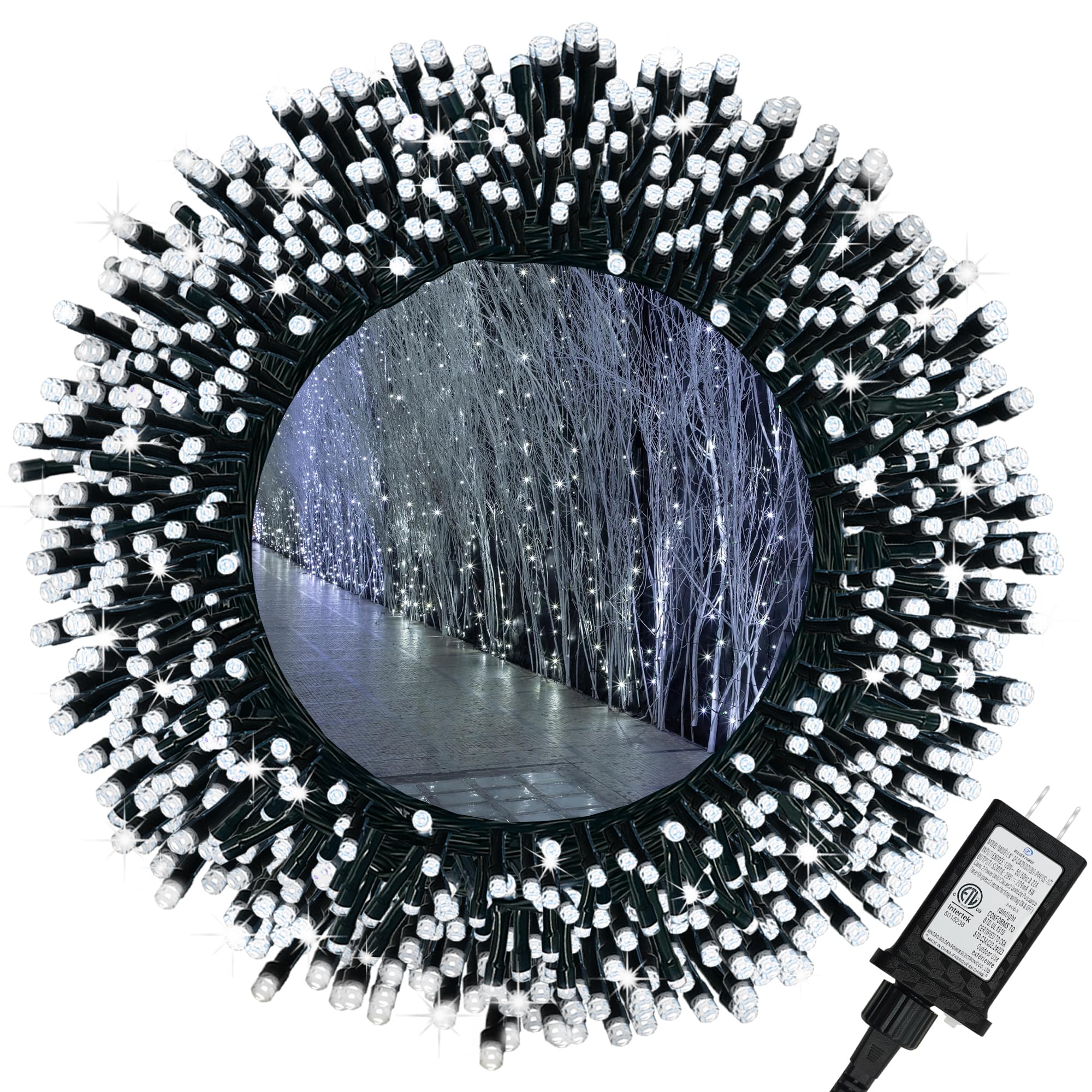 Flechllary 100 LED Christmas Lights, 39FT Cold White Indoor/Outdoor String Lights with 8 Modes, Timer, Waterproof, Model TZWG