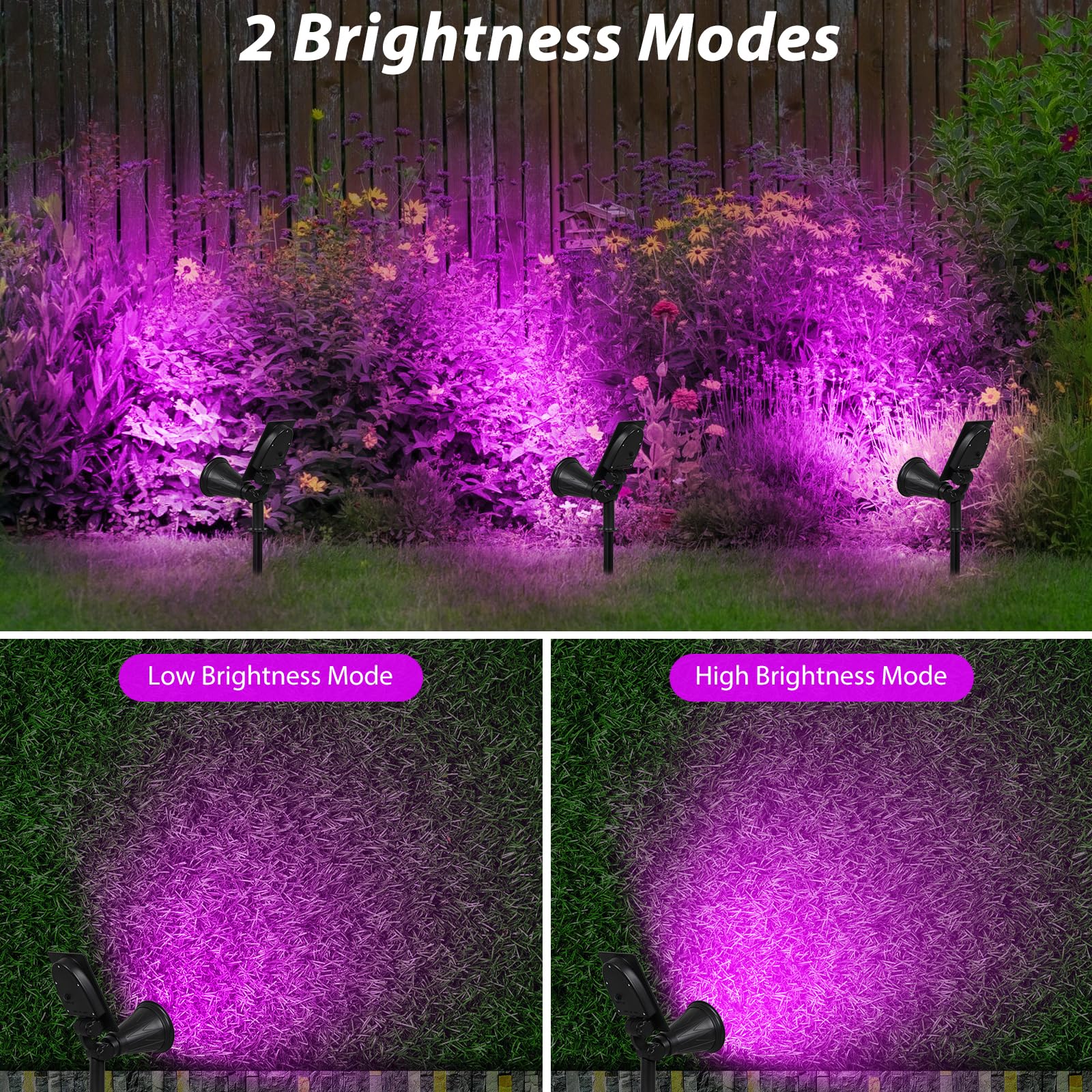 T-SUN [2 Pack] LED Solar Spotlights, Waterproof Outdoor Security Landscape Lamps, Auto-on/Auto-Off by Day, 180 Angle Adjustable