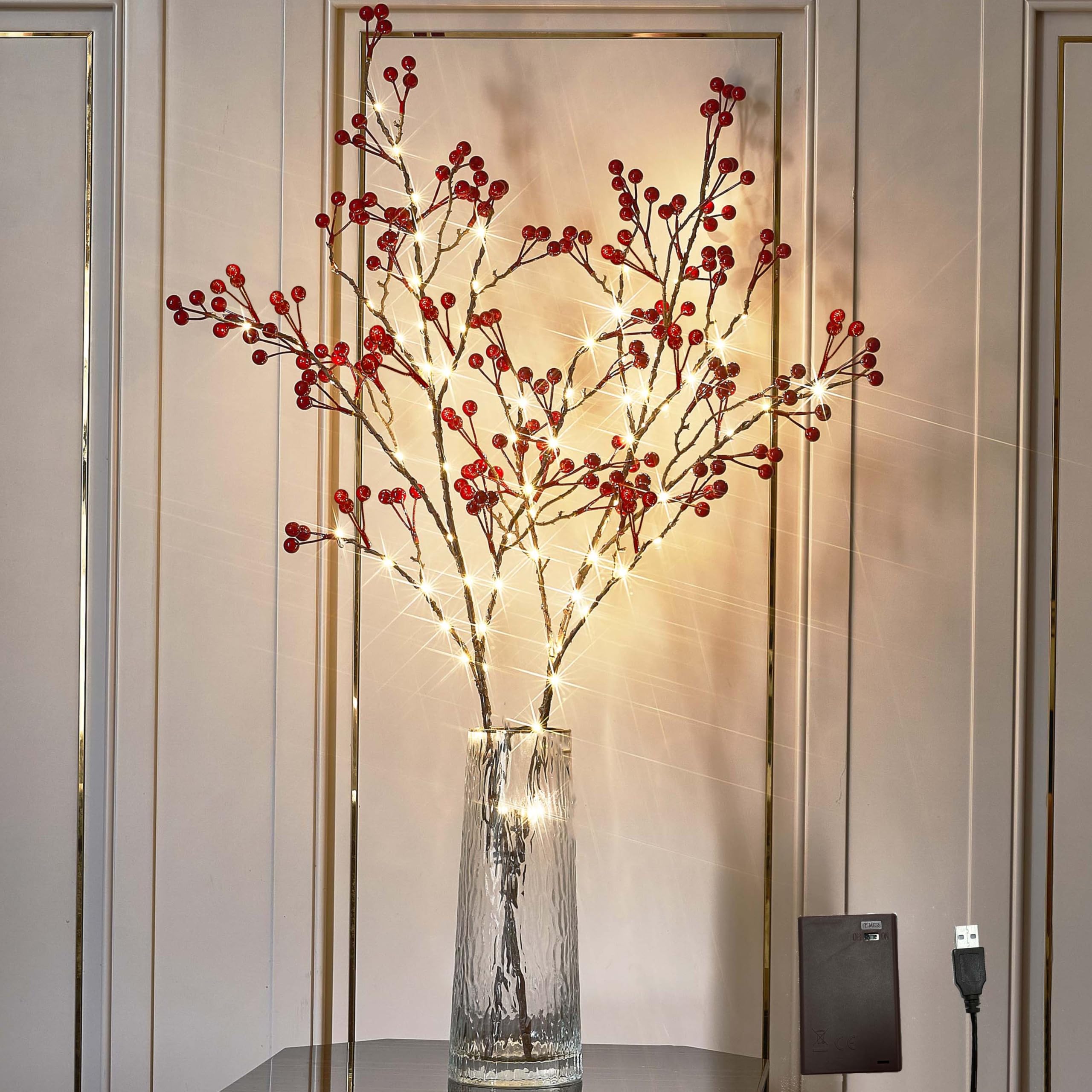 Hairui Red Berry Branches with Lights 32IN Battery Operated and USB Plug in, Lighted Willow Branches with Timer 80 LED Fairy Lights for Home Christmas Decoration Inside