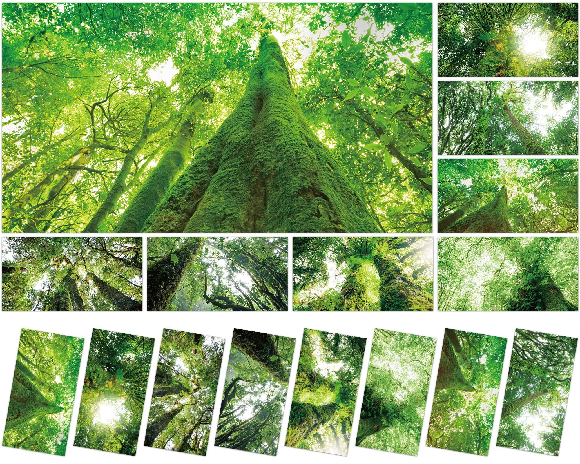 Wiooffen 8 Pcs Fluorescent Light Covers Magnetic 4x2 Feet Polyester Rainforest Green Model YM0886