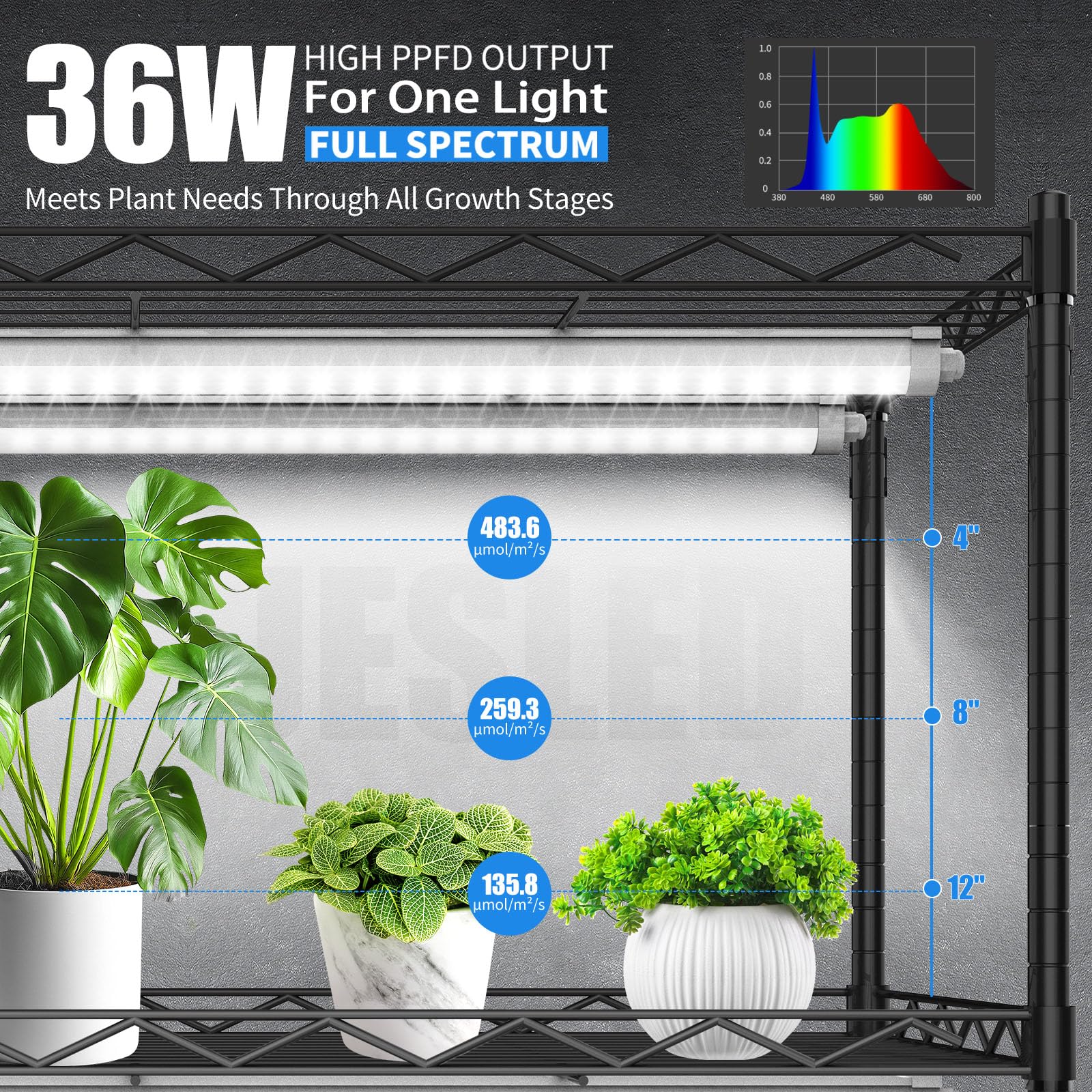 JESLED Indoor Greenhouse with Grow Light, 3FT, Full Spectrum 5000K, Rolling Metal Stand, 35.4x13.8x70IN, Black, Model JD