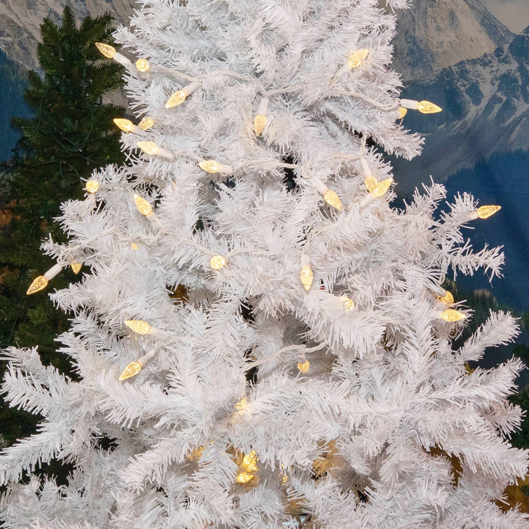 Novelty Lights 24Ft 70 Led C6 Led Christmas String Lights, Outdoor Commercial Grade Led String Lights, Tree Decorations (Warm Wh