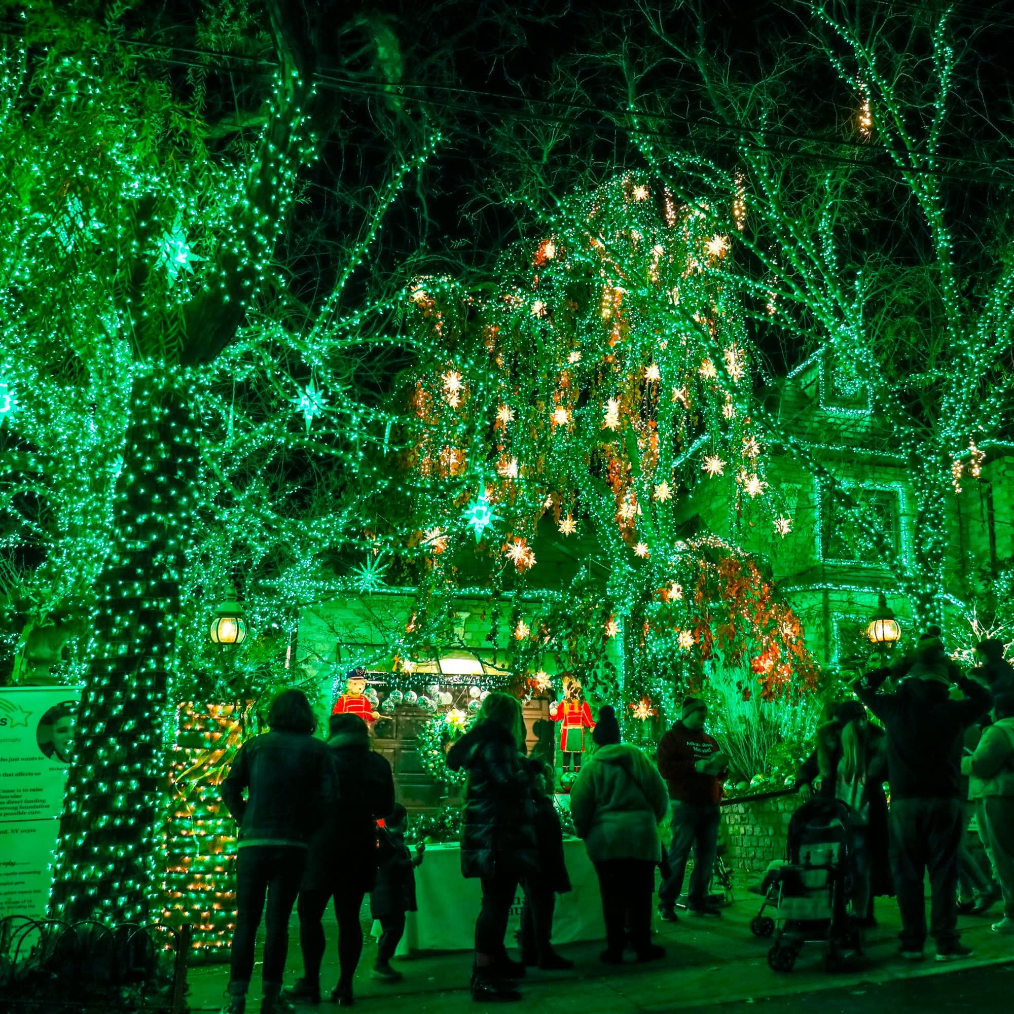 Green Christmas Lights, Total 400 Led 132Ft Christmas Lights Plug In With 8 Modes, Waterproof Fairy St. Patrick'S Day Lights Out