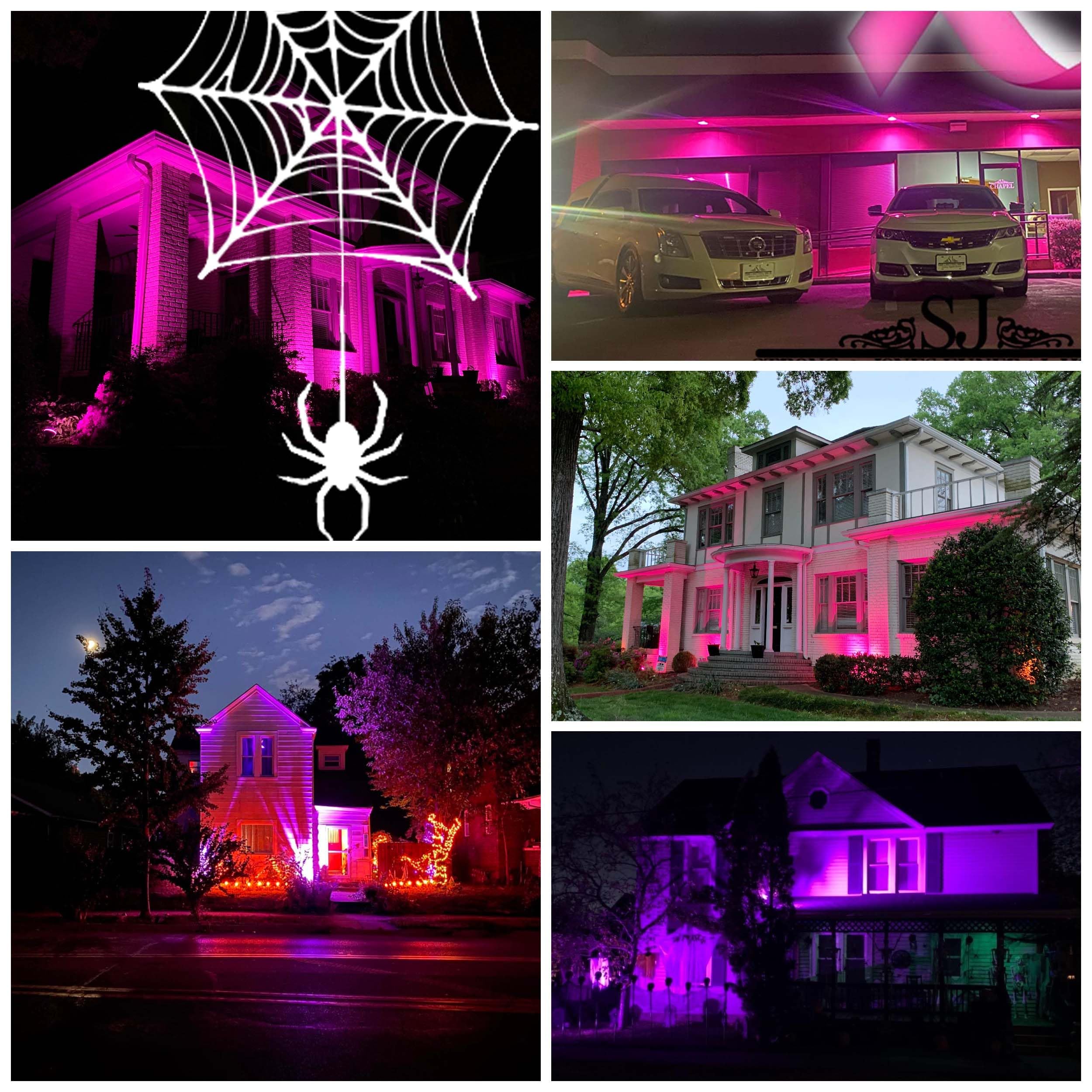ALIDE MR16 5W Pink LED Bulbs, 12V Low Voltage, 6 Pack, Aluminum, Halloween Outdoor Lighting, 38 Degree Beam