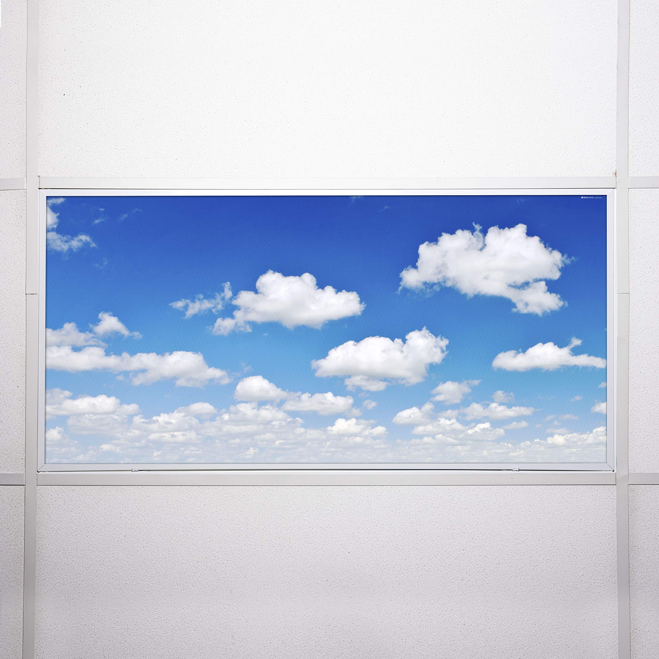 Octo Lights Fluorescent Light Covers, Acrylic, 2X4 (22.38In X 46.5In), Model Cld-011, Improve Focus & Reduce Headaches