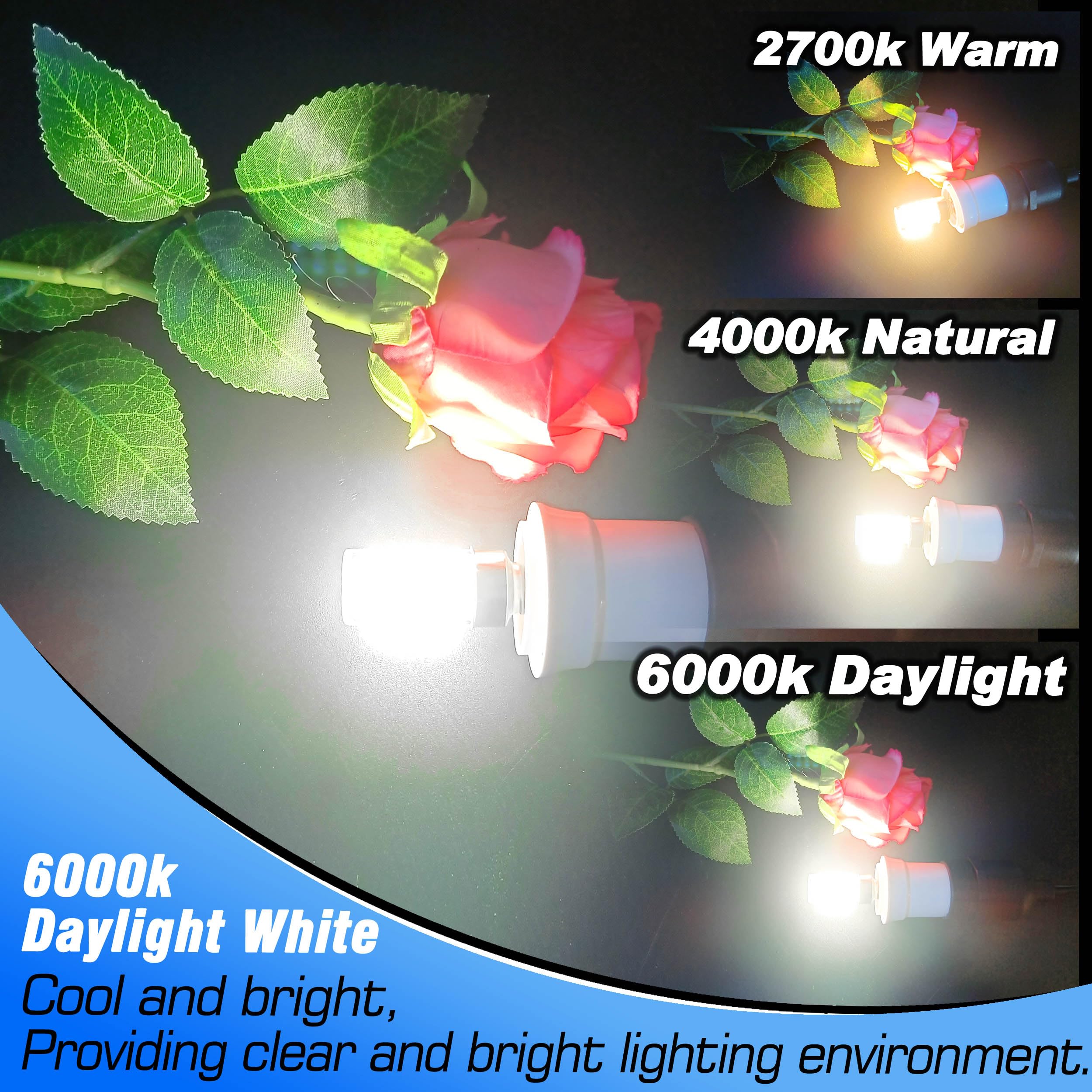 Heifymi E12 40 Watt Equivalent Led Bulbs 6000K Daylight White 450Lm 4W 120V Led Candelabra Bulb With T6 C7 E12 Small Base For Wall Sconces Pendant Chandelier Ceiling Fan Lighting  Non-Dimmable  4 Pack