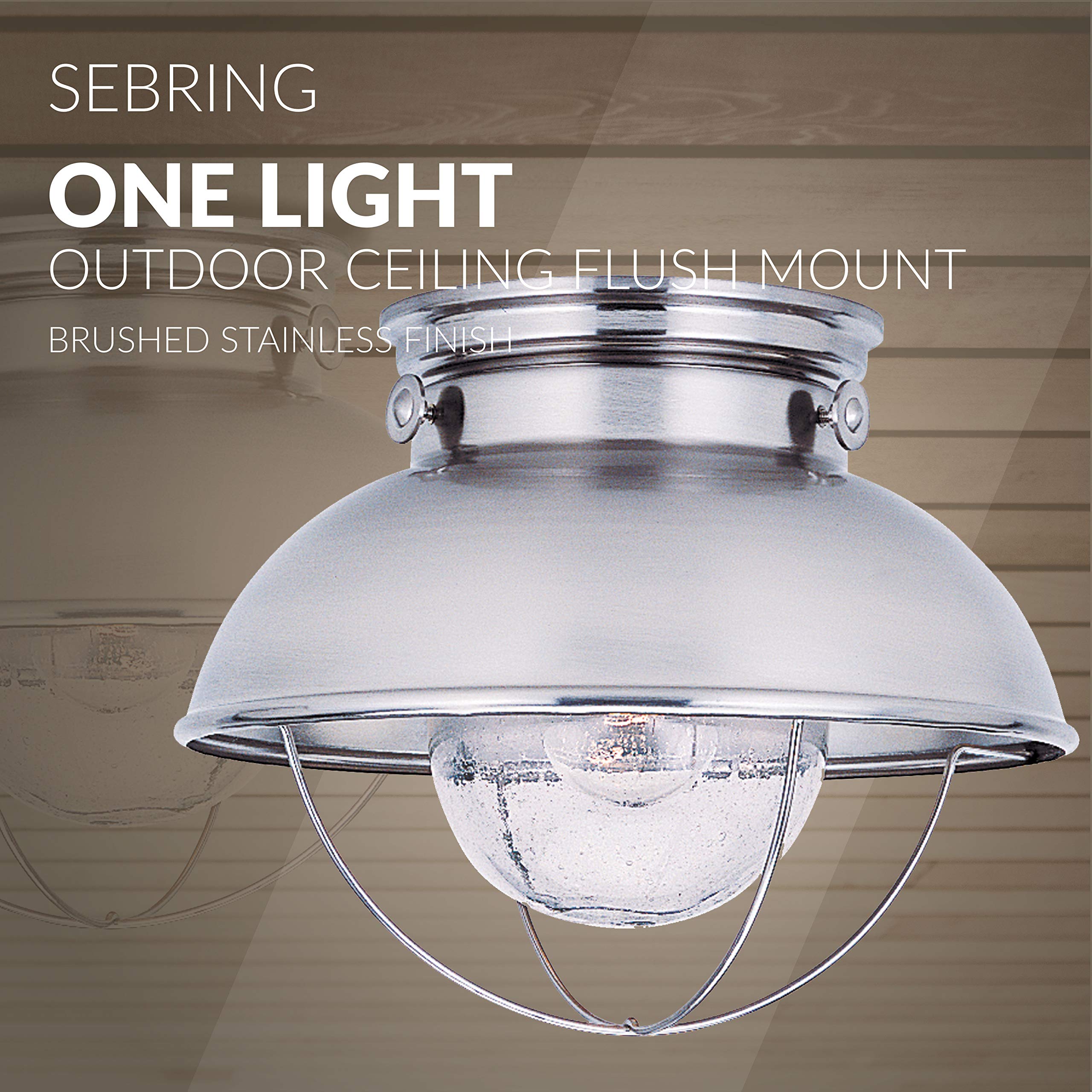 Sea Gull Lighting 8869-98 Sebring Transitional One-Light Outdoor Ceiling Flush Mount Outside Fixture, Brushed Stainless Finish