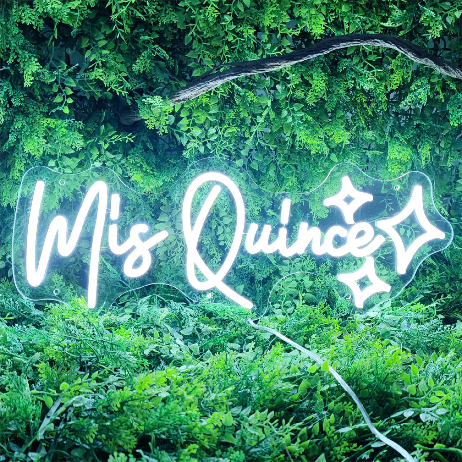 Signvia Neon Sign - Mis Quince Wall Decor, Dimmable, Acrylic, 50cm x 16.93cm, White