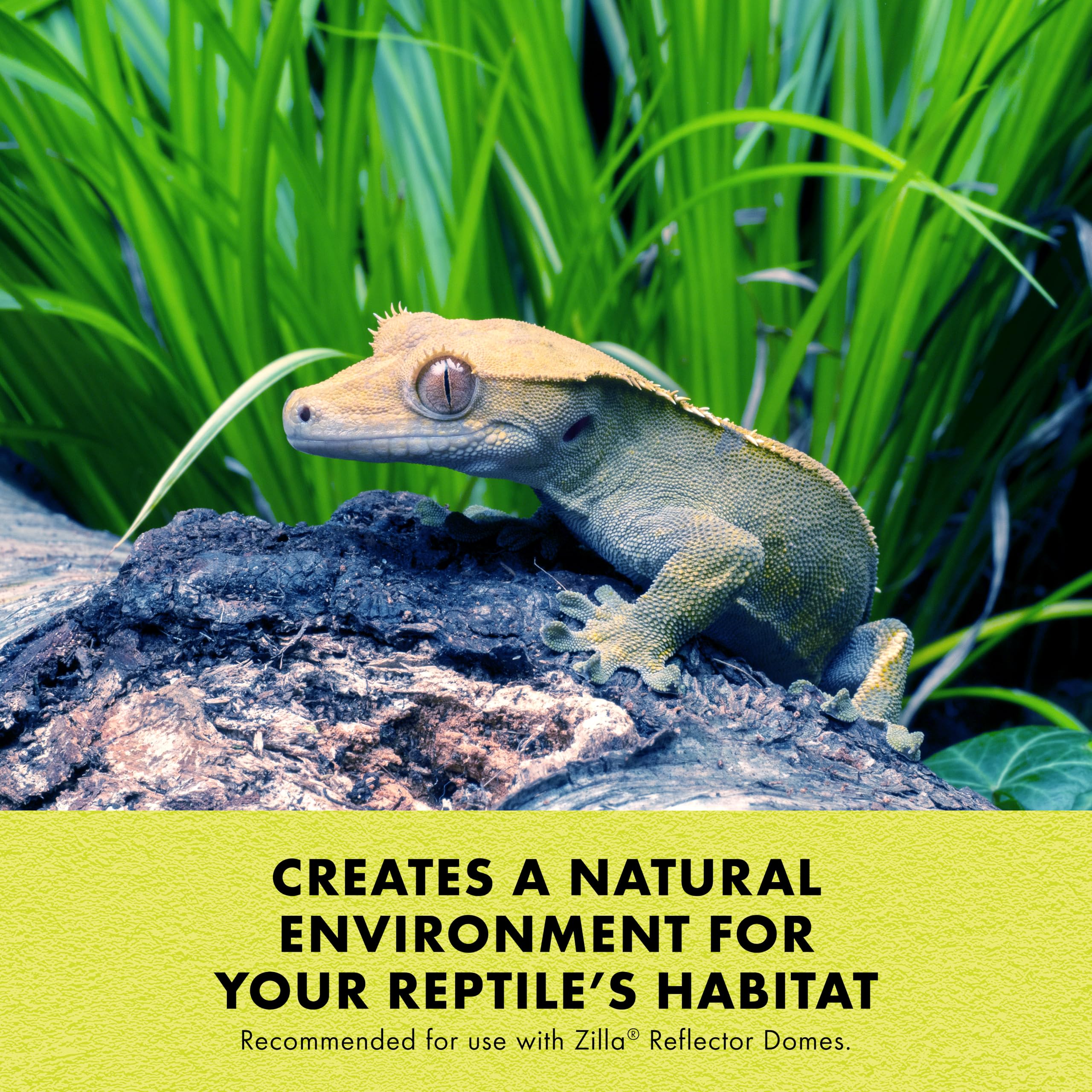 Zilla 100W Incandescent Bulb - Day Blue Glass Light For Home & Office Decor