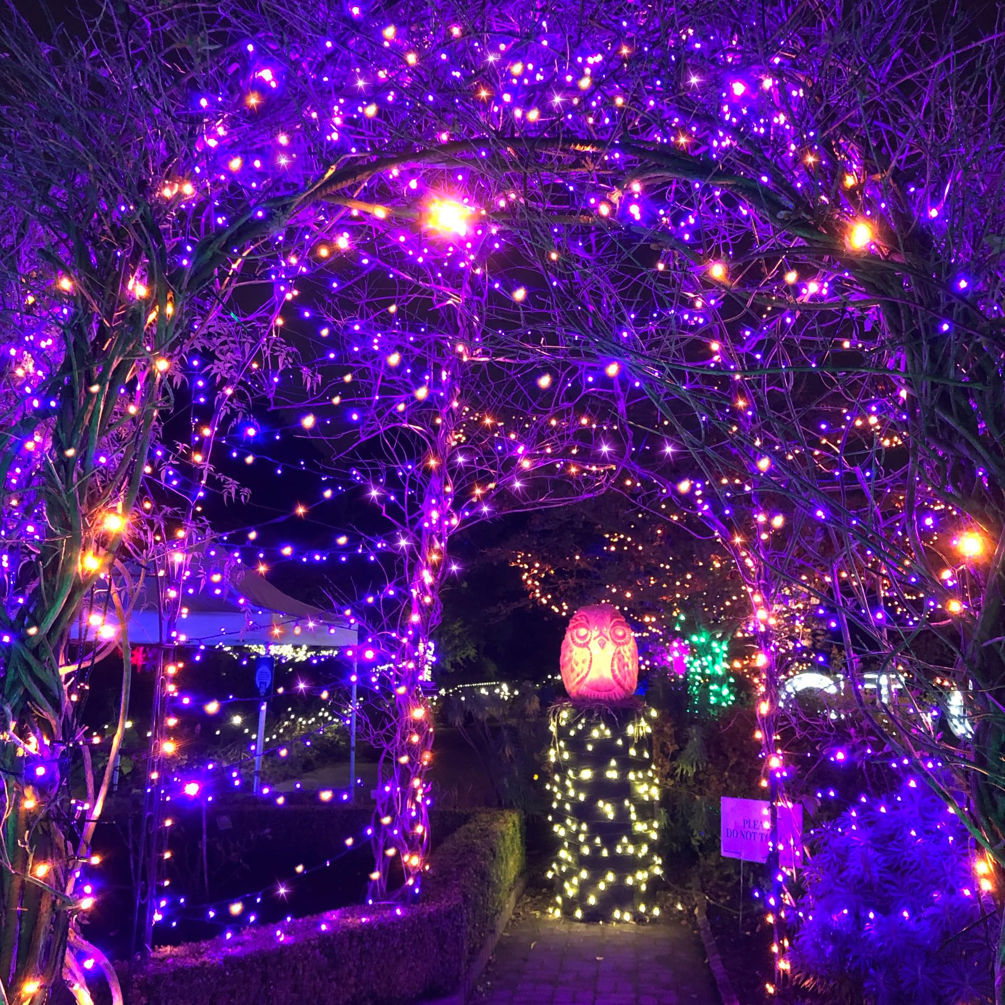 Flechllary Solar Halloween Lights,72Ft 200Led Orange & Purple Halloween Lights,Halloween Solar Lights Outdoor With 8 Modes Waterproof Halloween Lights For Bedroom Patio Garden Party Yard Decoration