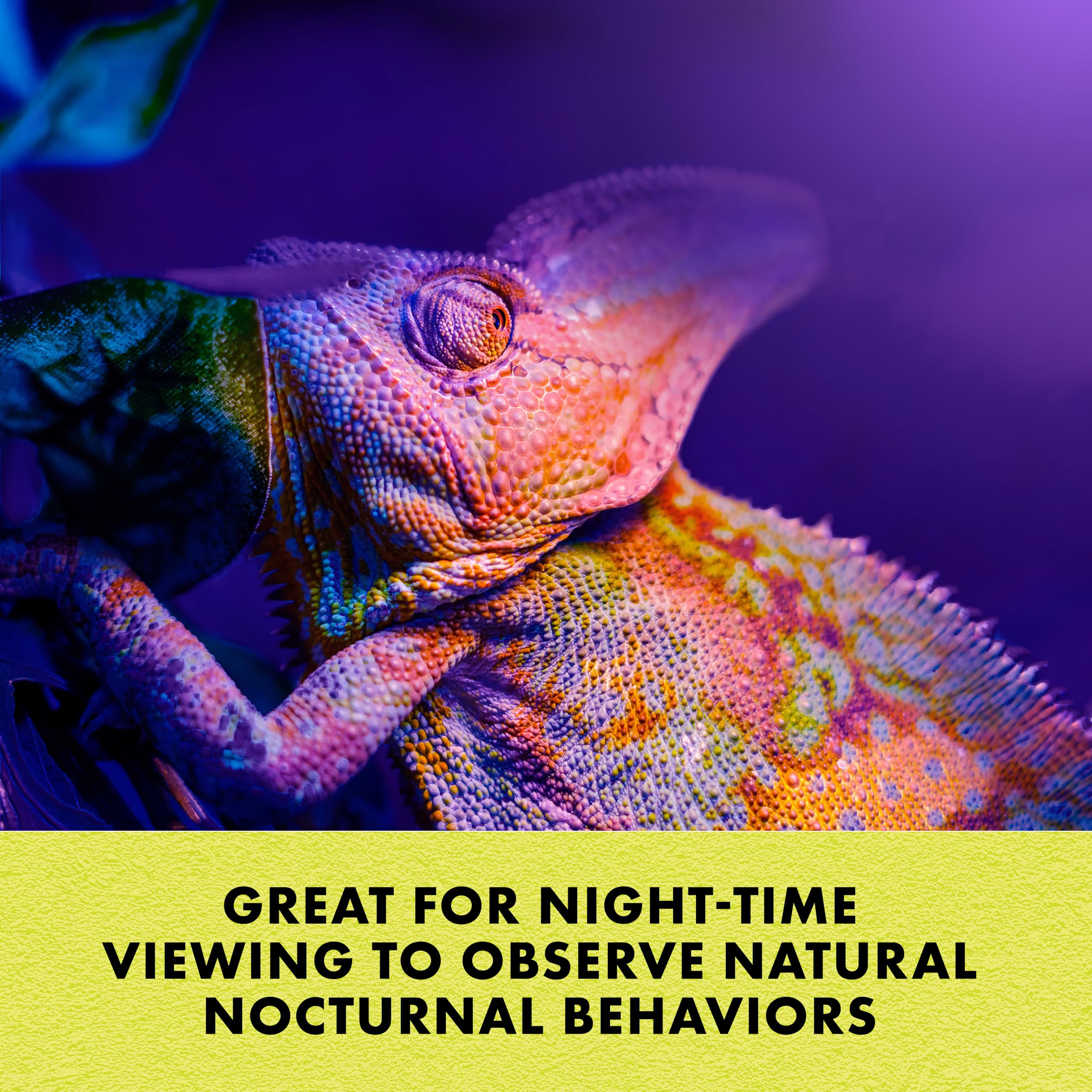 Zilla Incandescent Spot Bulb For Nocturnal Reptiles - Night Black, 1 Count