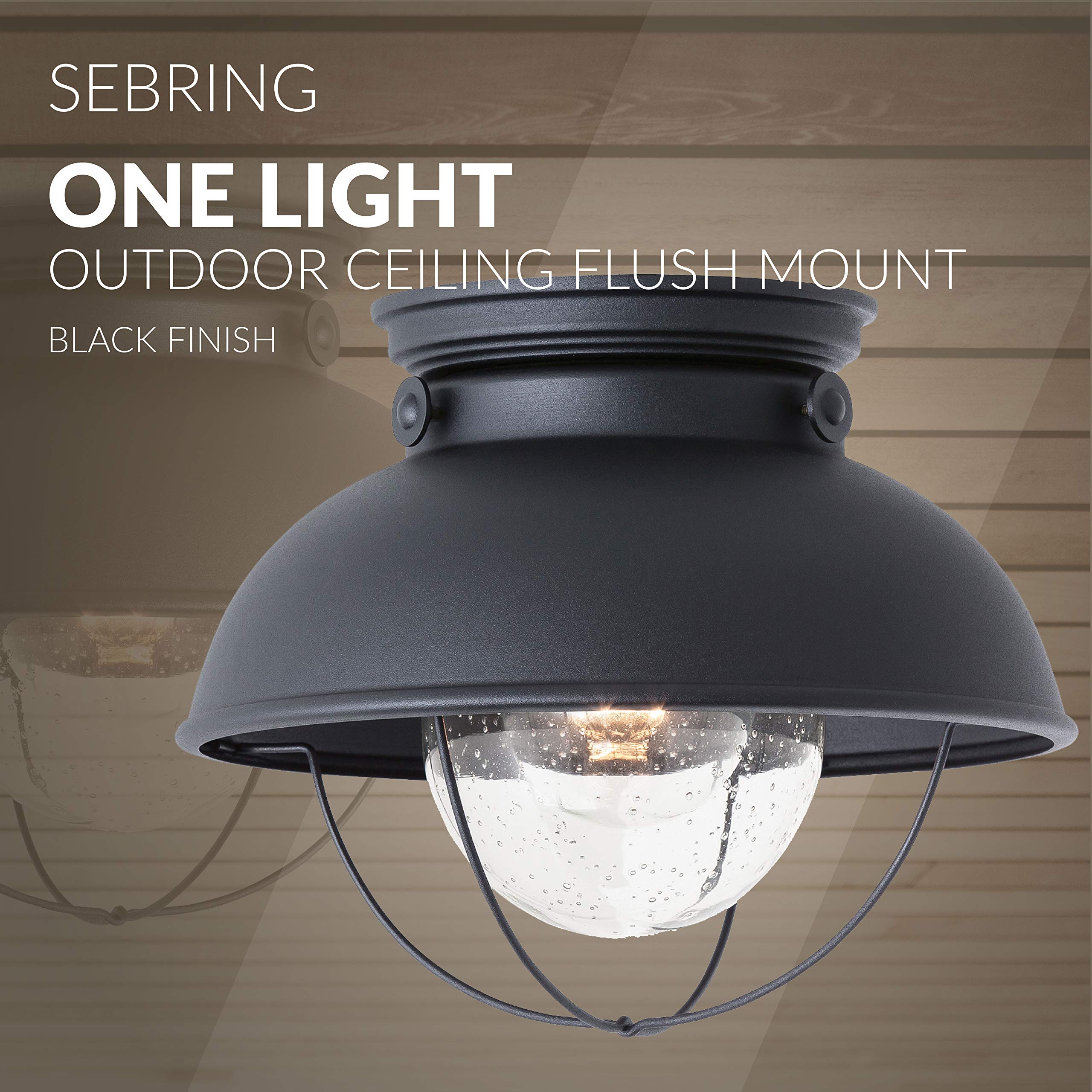 Sea Gull Lighting Outdoor Ceiling Flush Mount Fixture, One-Light, Black Finish, Model 8869-12, Metal