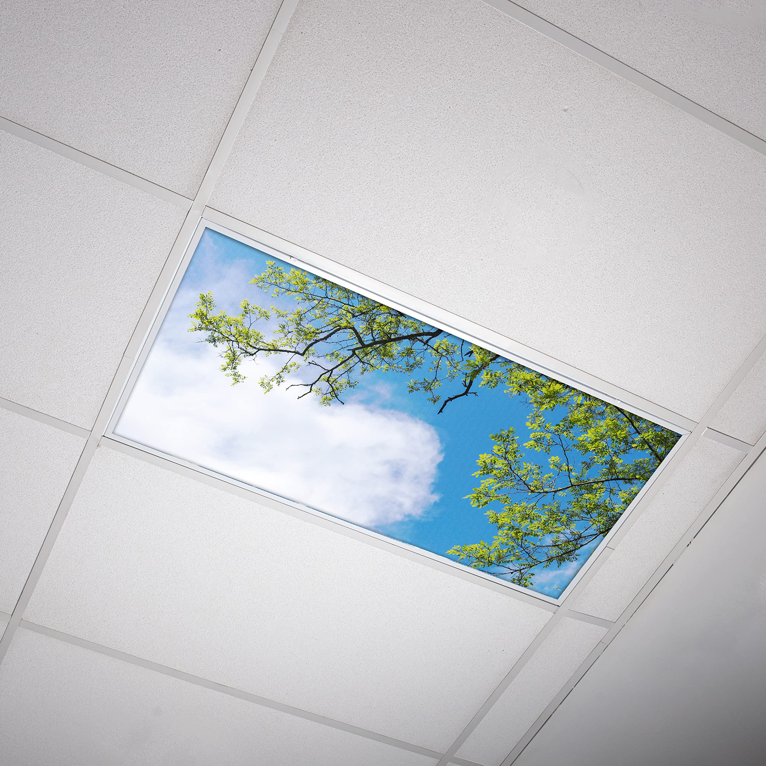 OCTO LIGHTS Fluorescent Light Cover Backlit Film Insert 2x4 - Blue Sky Acacia Tree - Model TRE-008-2x4 - 1 Pack