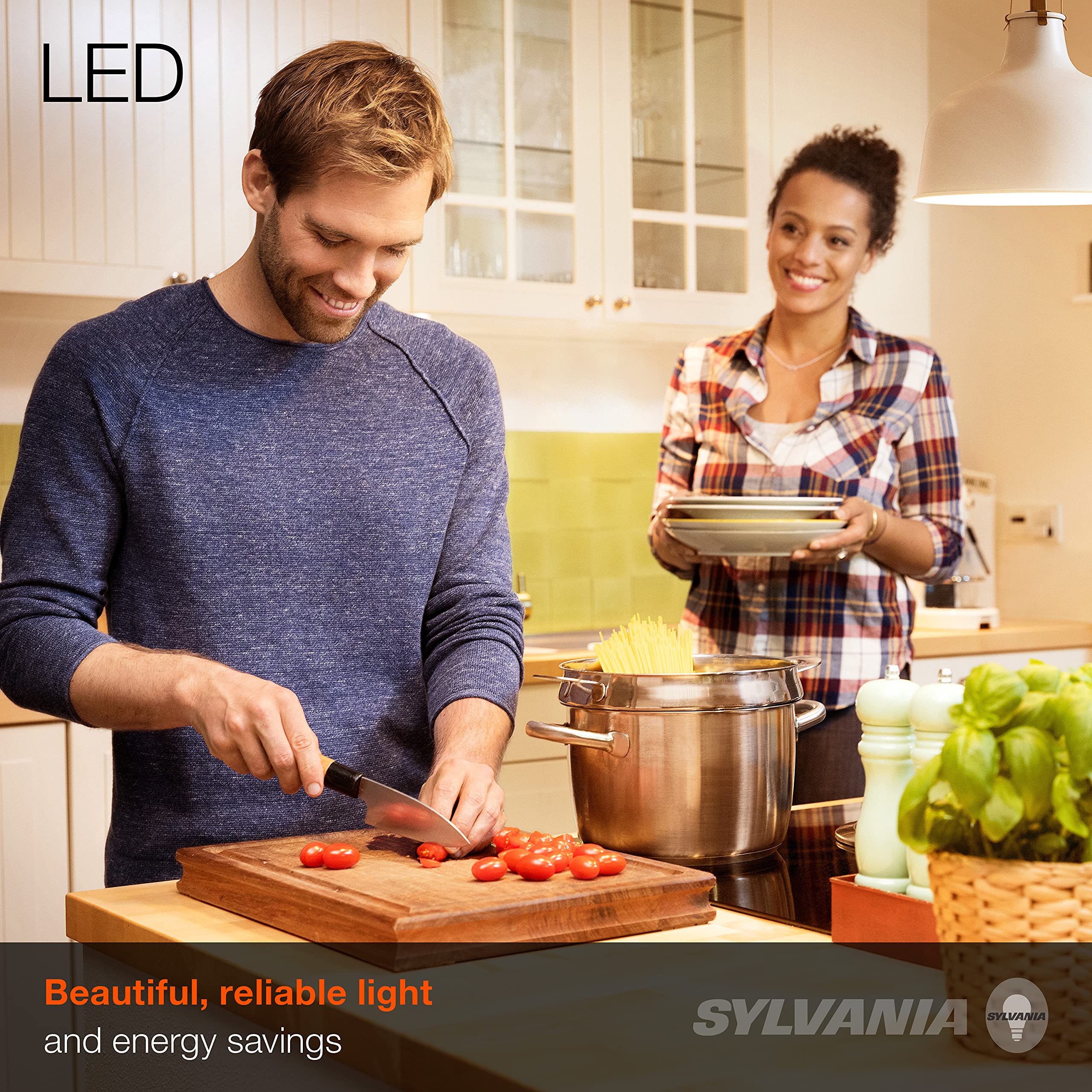 LEDVANCE ECO LED Light Bulb A19, 9W, 750 Lumens, Soft White, 8 Count, Non-Dimmable, Model 40821