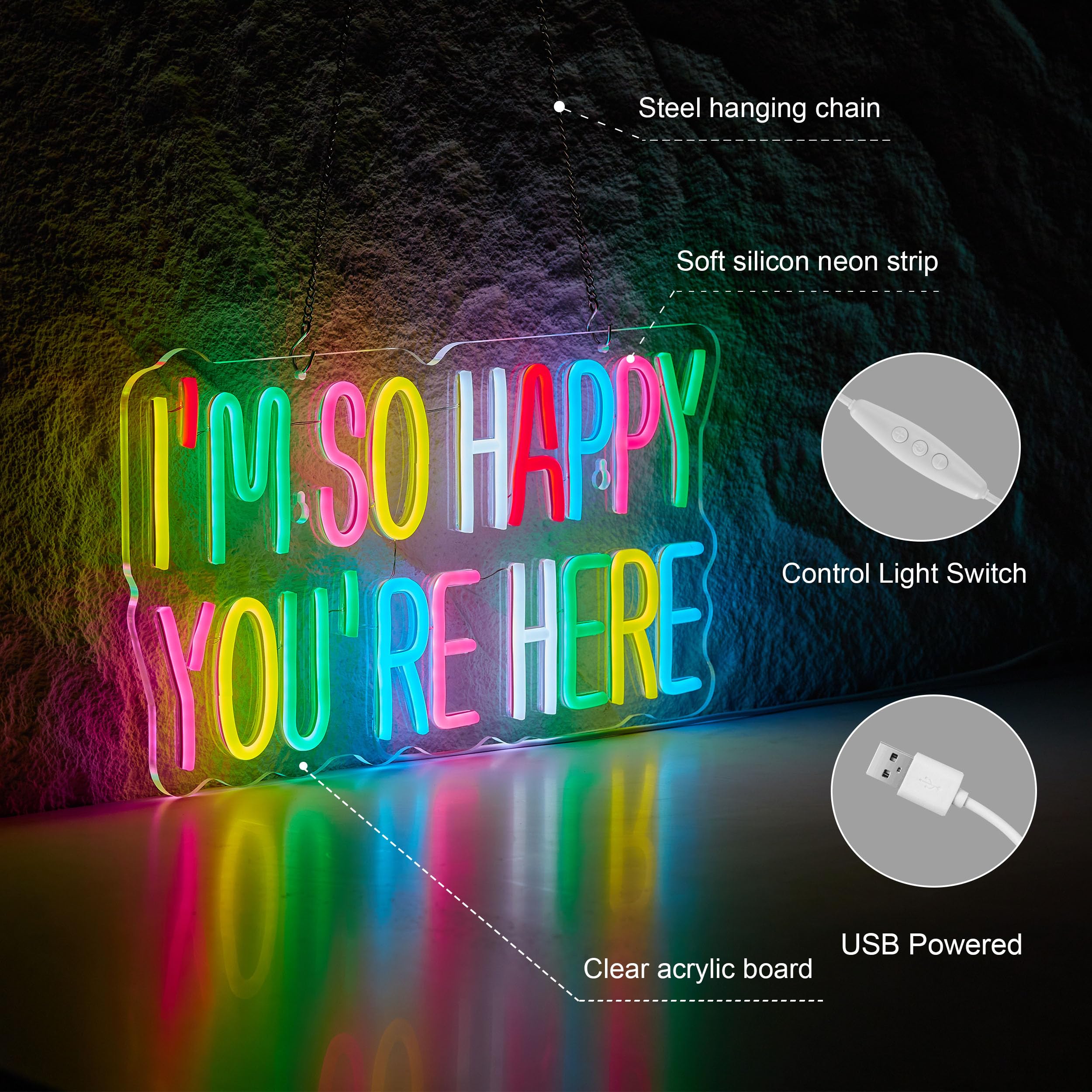 Neonhonba Neon Sign for Wall D?or, Dimmable LED Light, USB Powered, 17inx9.5in, Acrylic, Mcolour
