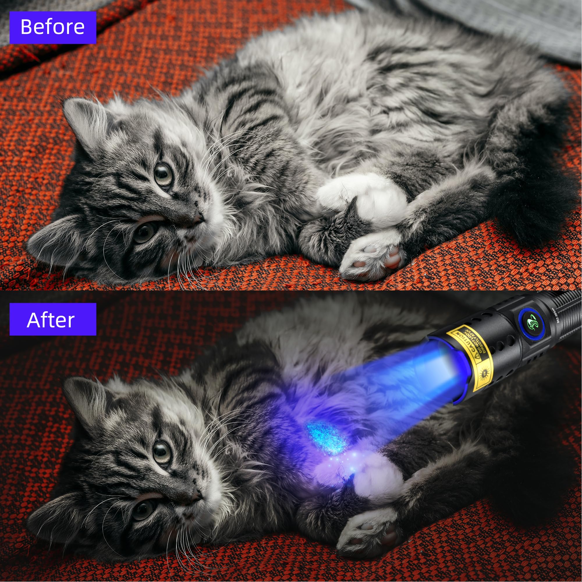 DARKBEAM 365nm UV Flashlight - USB-C Rechargeable Black Light, Mini Woods Lamp, Water Resistant for Pet Urine & Stains, Model B62