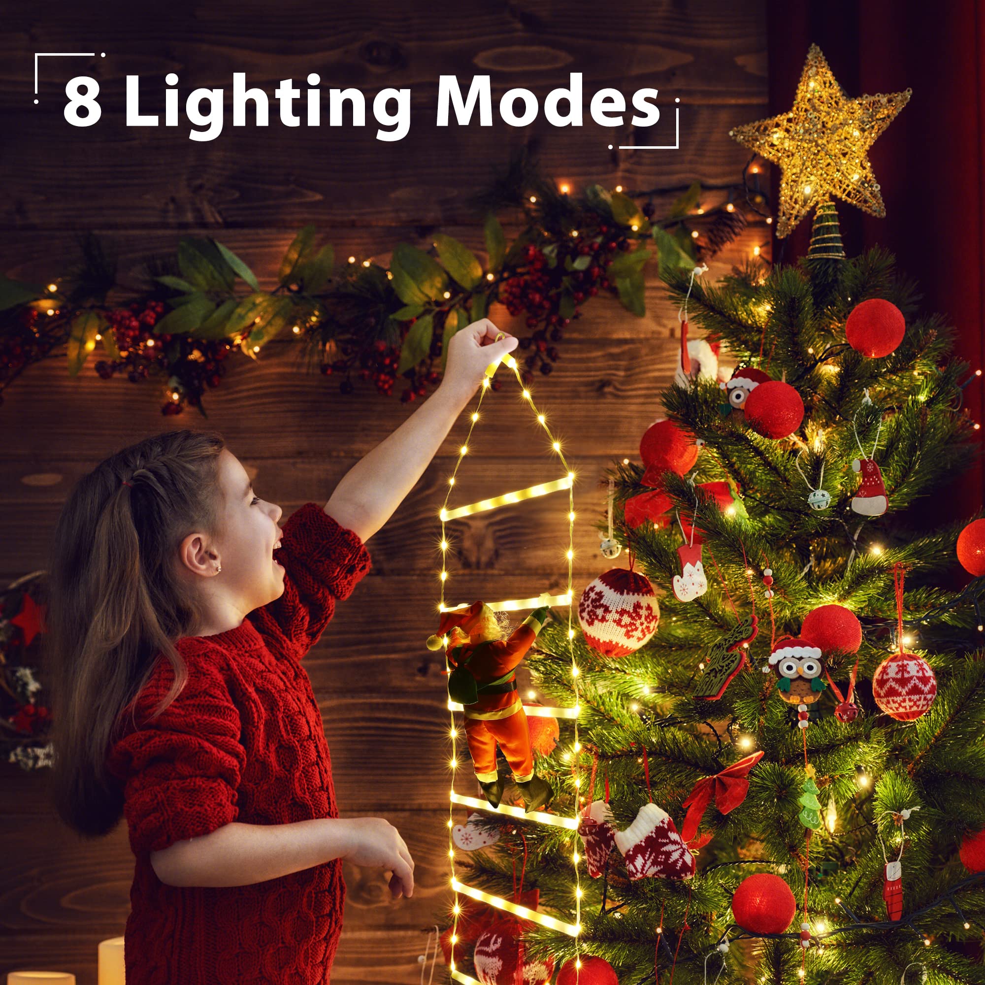 Toodour LED Christmas Light - Decorative Ladder Lights, Warm White, 2.5FT, Model LED08230097 for Indoor/Outdoor Holiday Decor