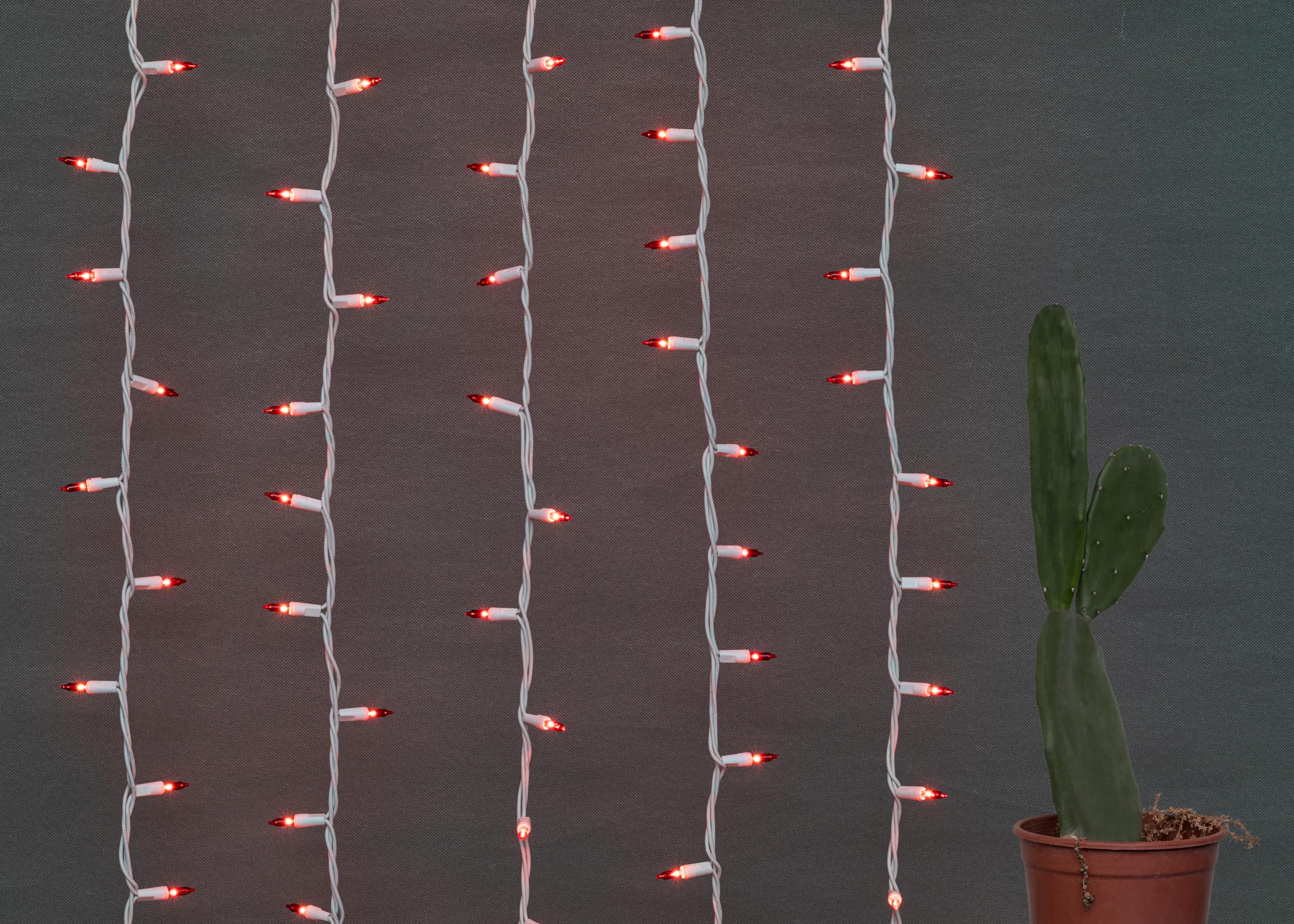 Brite Star 100 Count Mini String Christmas Lights, Red - 22 Feet Indoor/Outdoor Christmas Tree Lights With White Wire