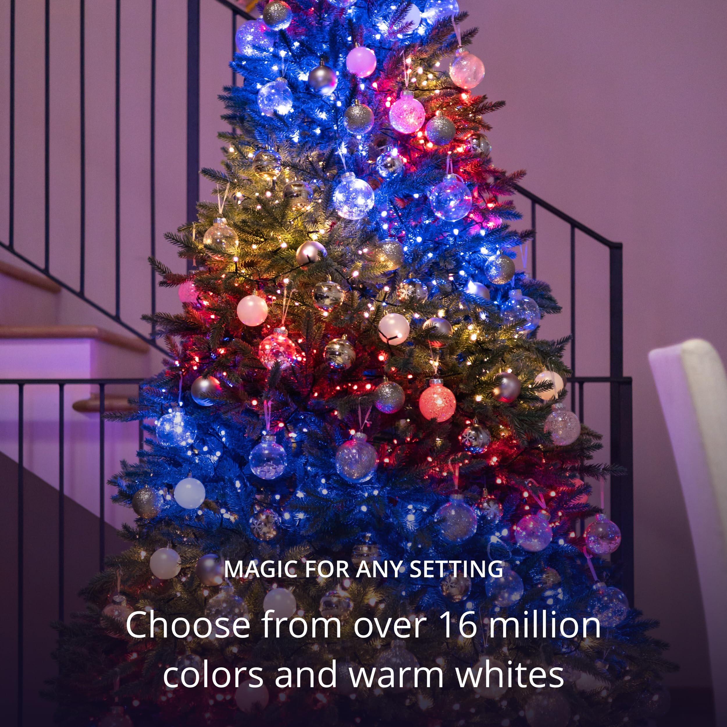 Twinkly 250 LED RGB+White Smart Light String, 65ft Green Wire, IP44, Mappable, Compatible with Alexa & Google Home