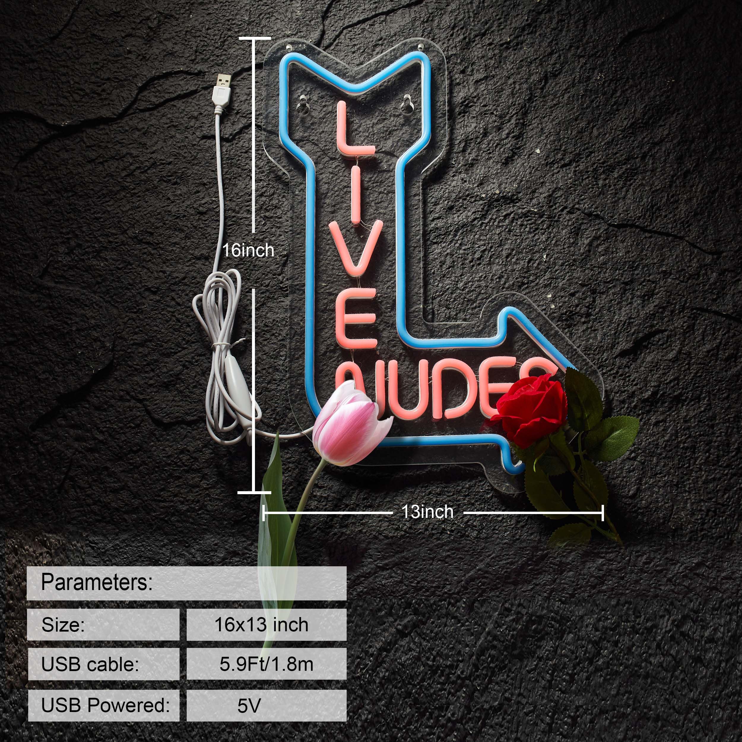 ZODZ Neon Sign Wall Decor for Man Cave, Bar, or Home Art - LED Light with Dimmer, 15x13 inches, Blue+Pink